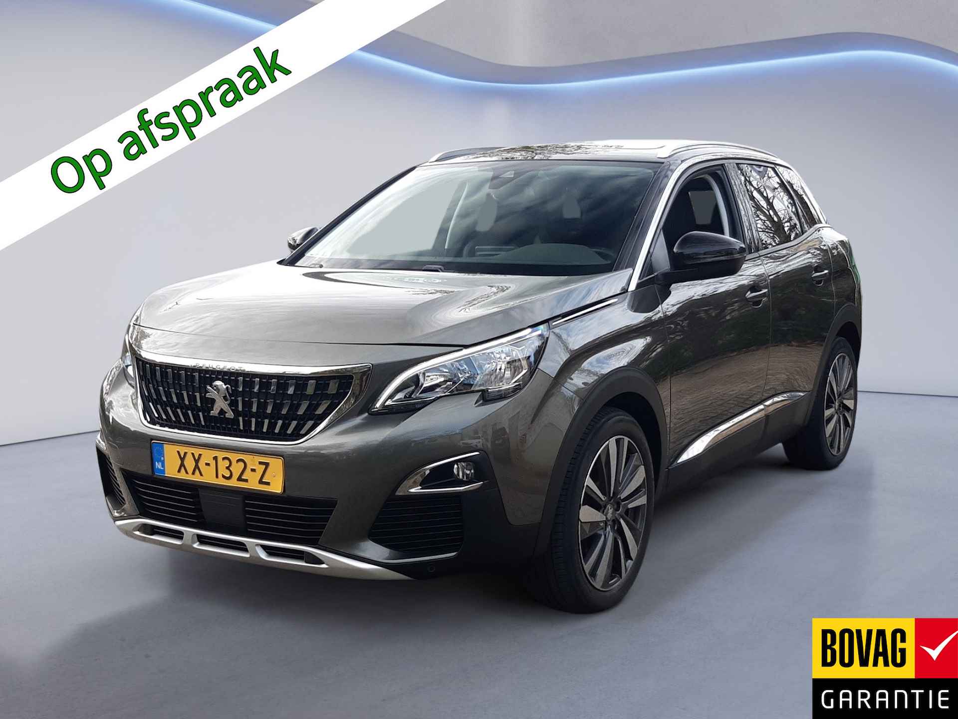 Peugeot 3008 BOVAG 40-Puntencheck