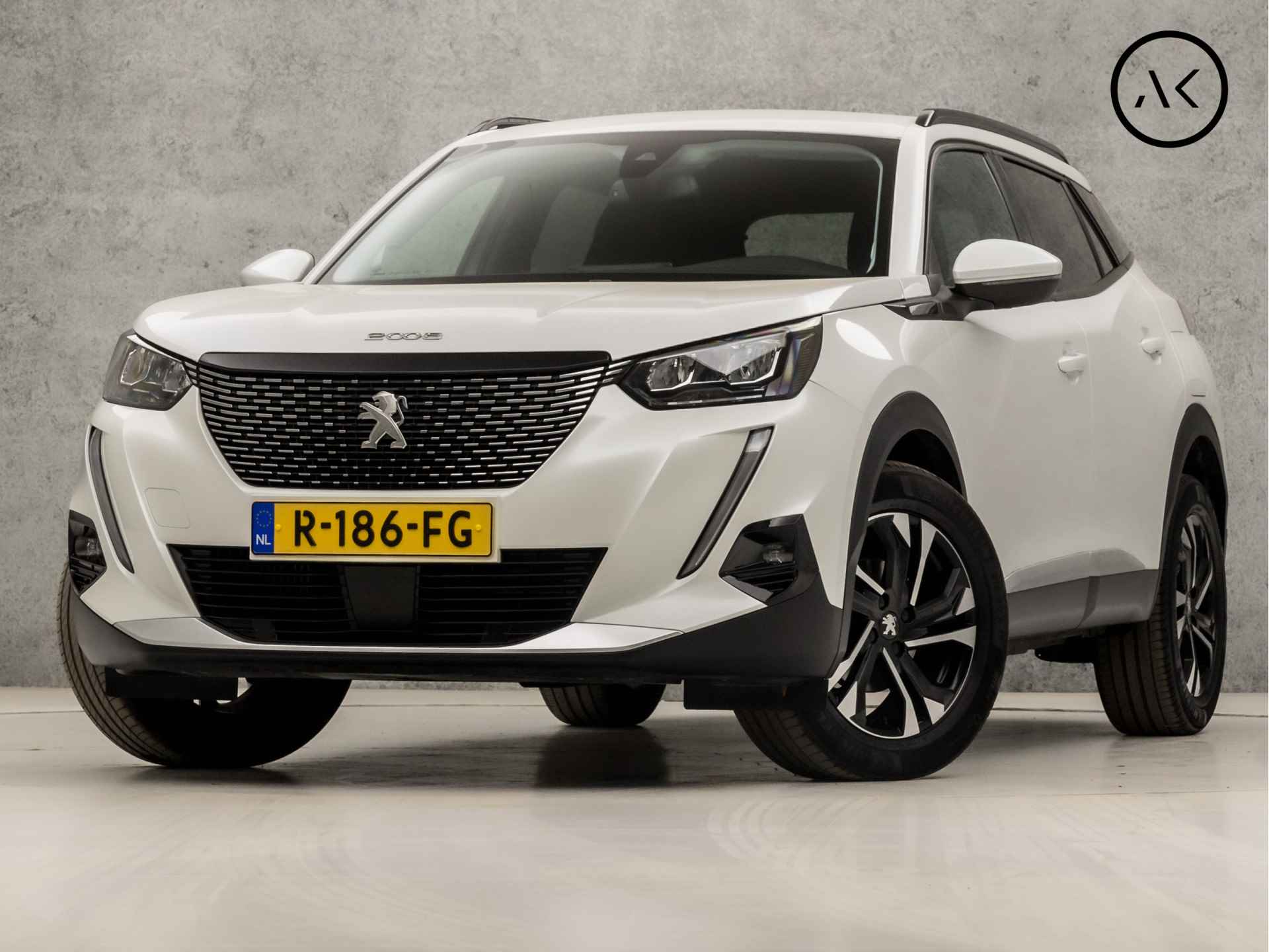 Peugeot 2008 BOVAG 40-Puntencheck