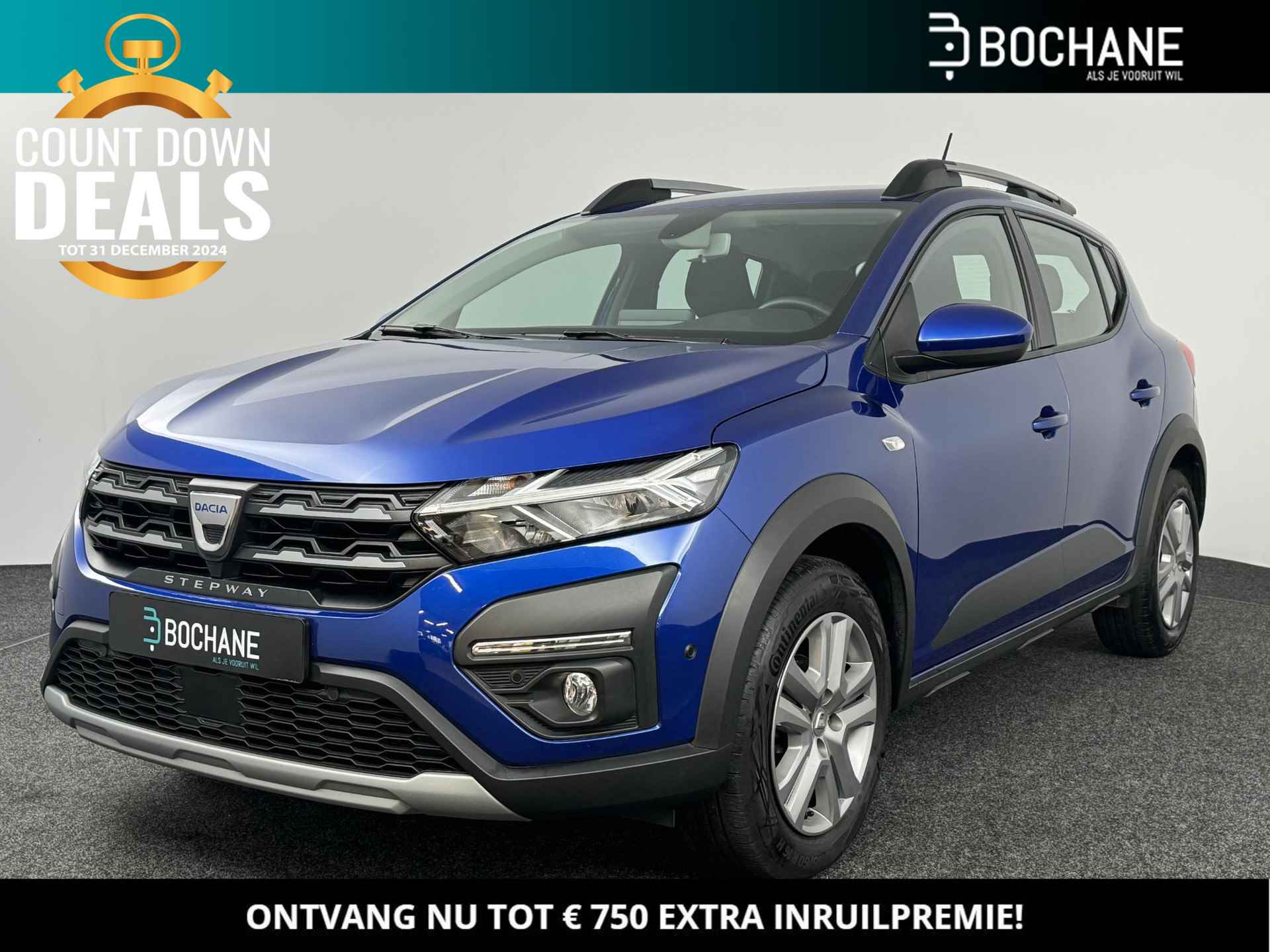 Dacia Sandero Stepway BOVAG 40-Puntencheck