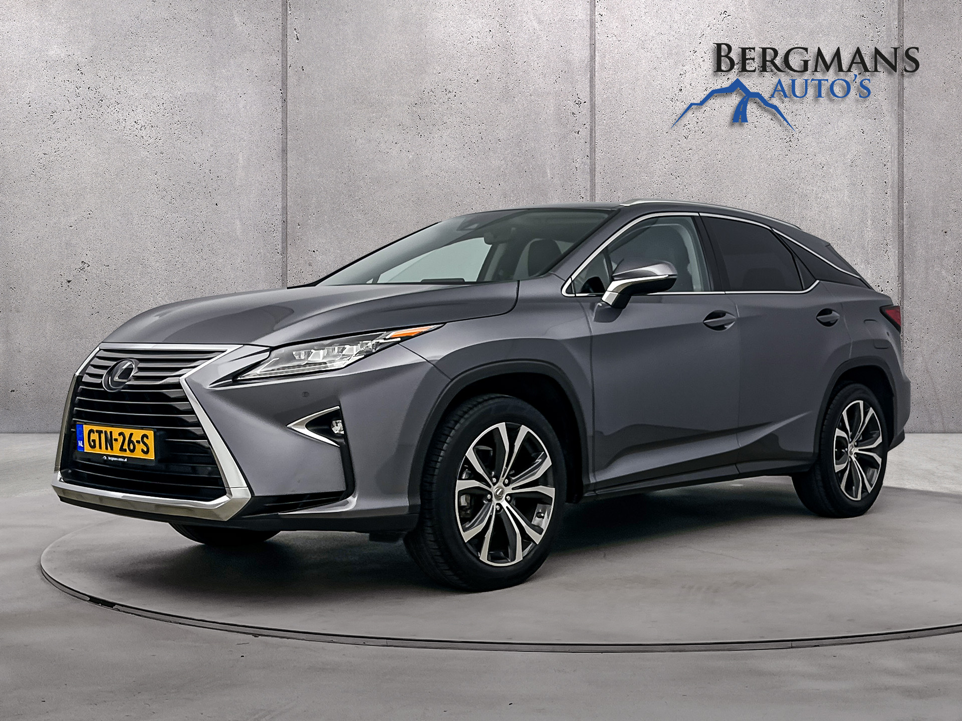 Lexus RX 450h 4WD Luxury Line // ZONNEDAK // TREKHAAK //