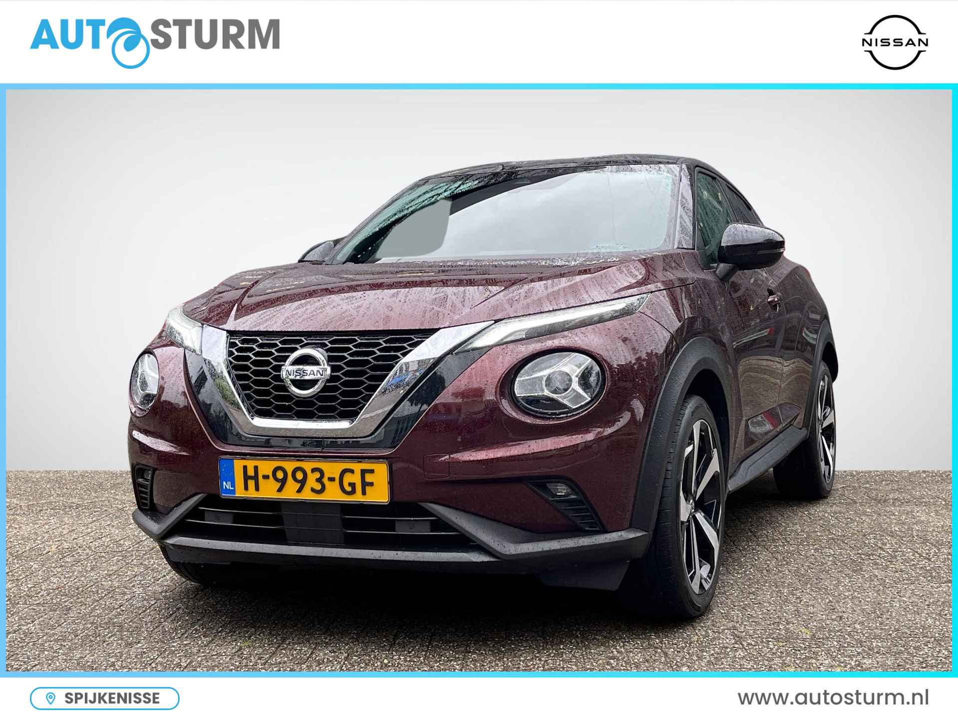 Nissan Juke BOVAG 40-Puntencheck