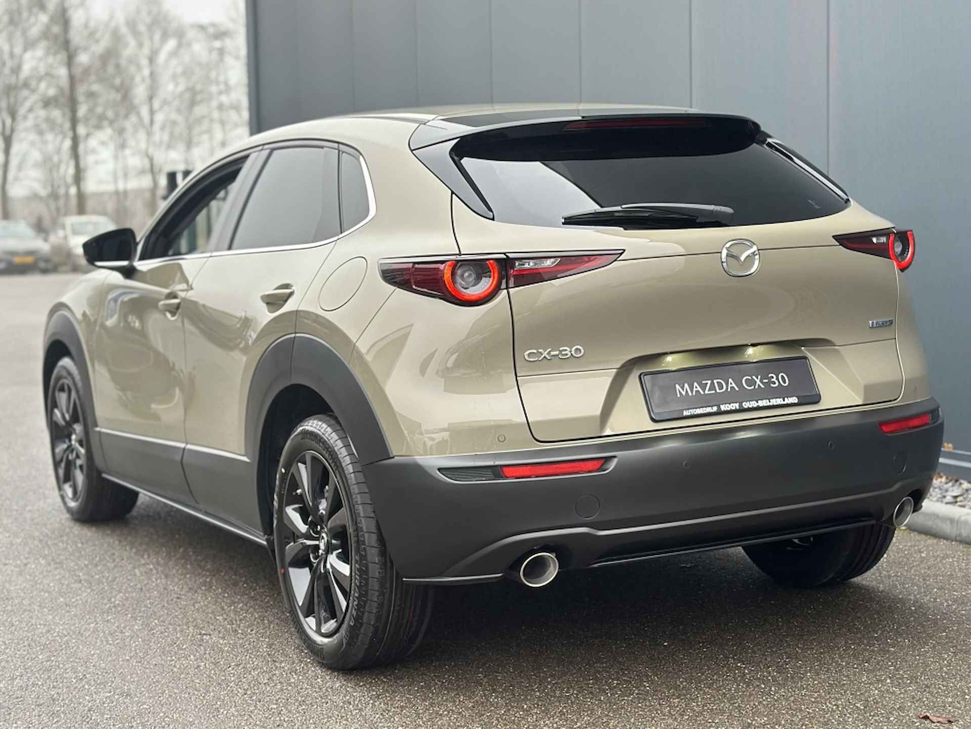 Mazda CX-30 2.0 eSkyActiv-X 186PK Nagisa Automaat - 7/15