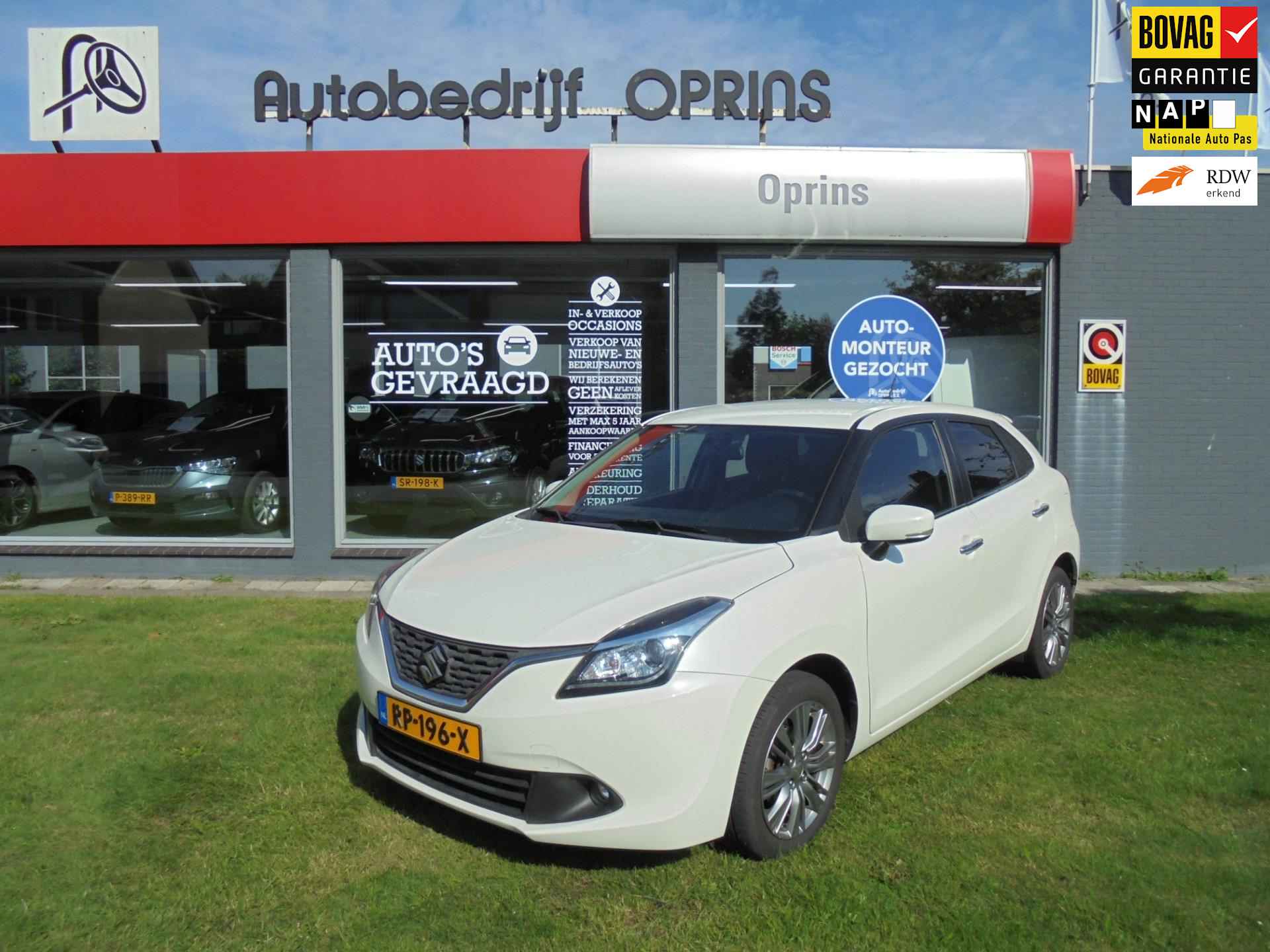 Suzuki Baleno BOVAG 40-Puntencheck