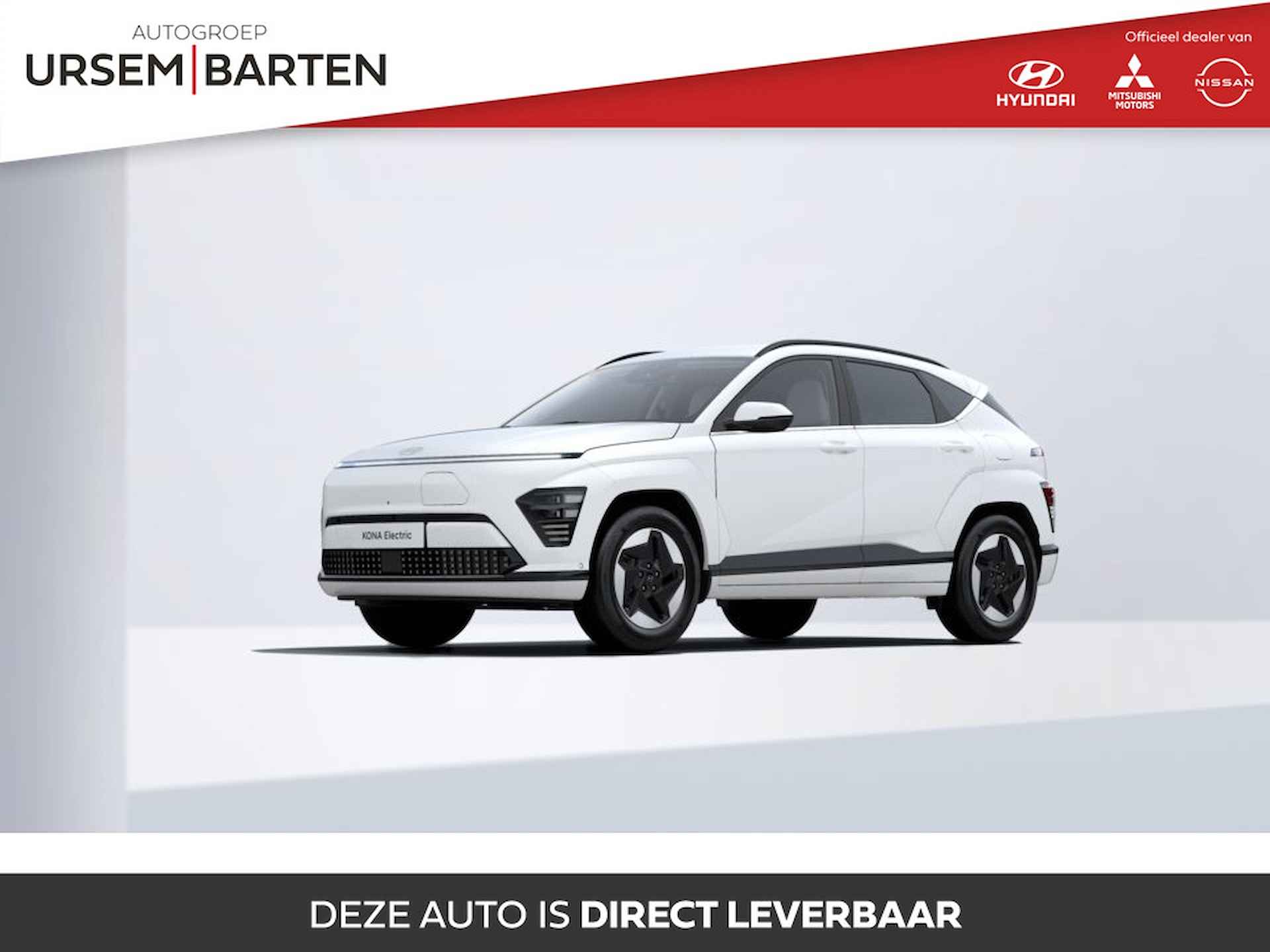 Hyundai Kona BOVAG 40-Puntencheck