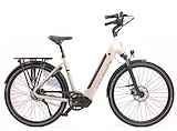 VanDijck Juno Hypershift - 700 Wh - Belt Lage instap Warm Grey 46cm 2024