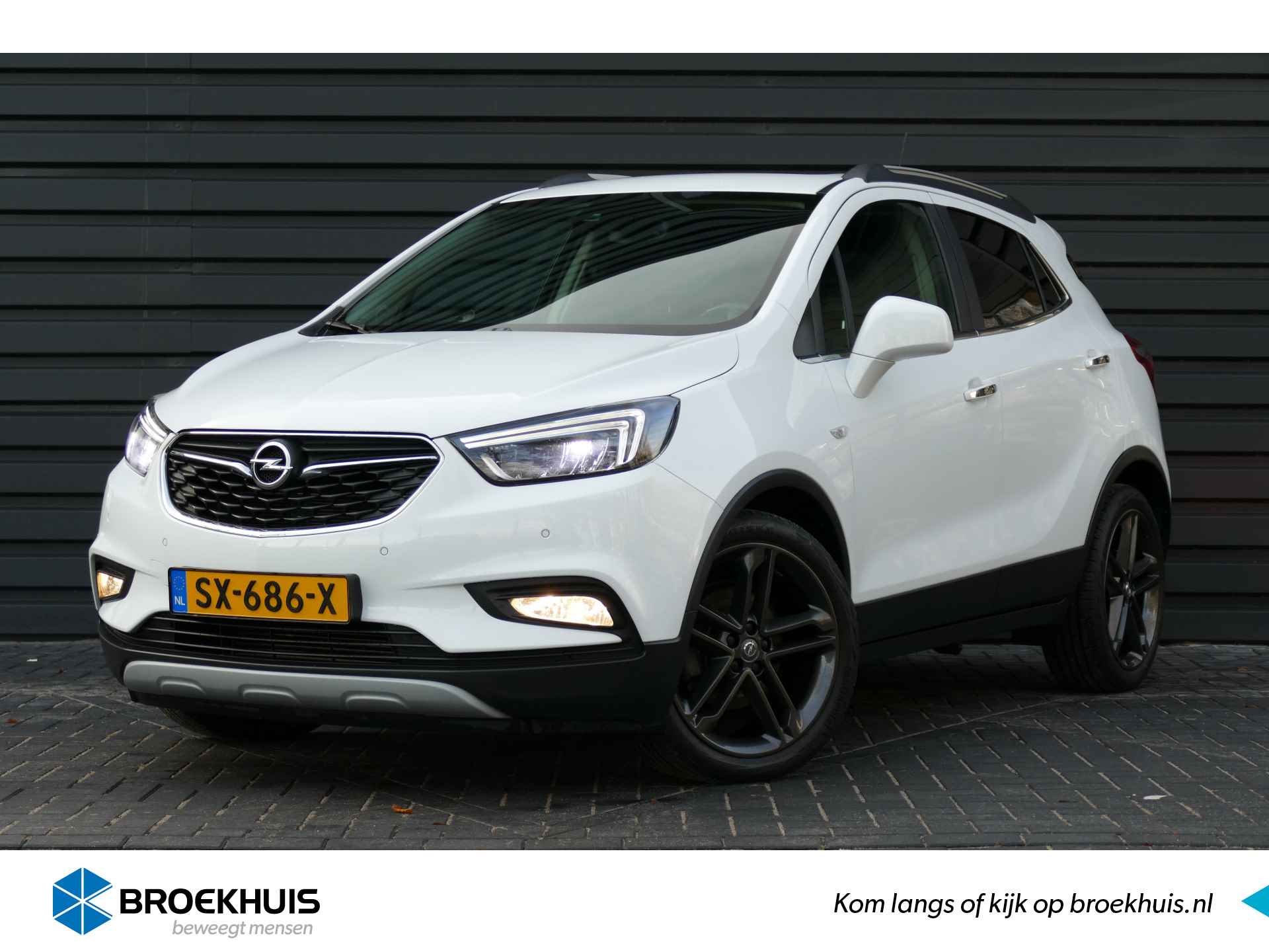 Opel Mokka X BOVAG 40-Puntencheck