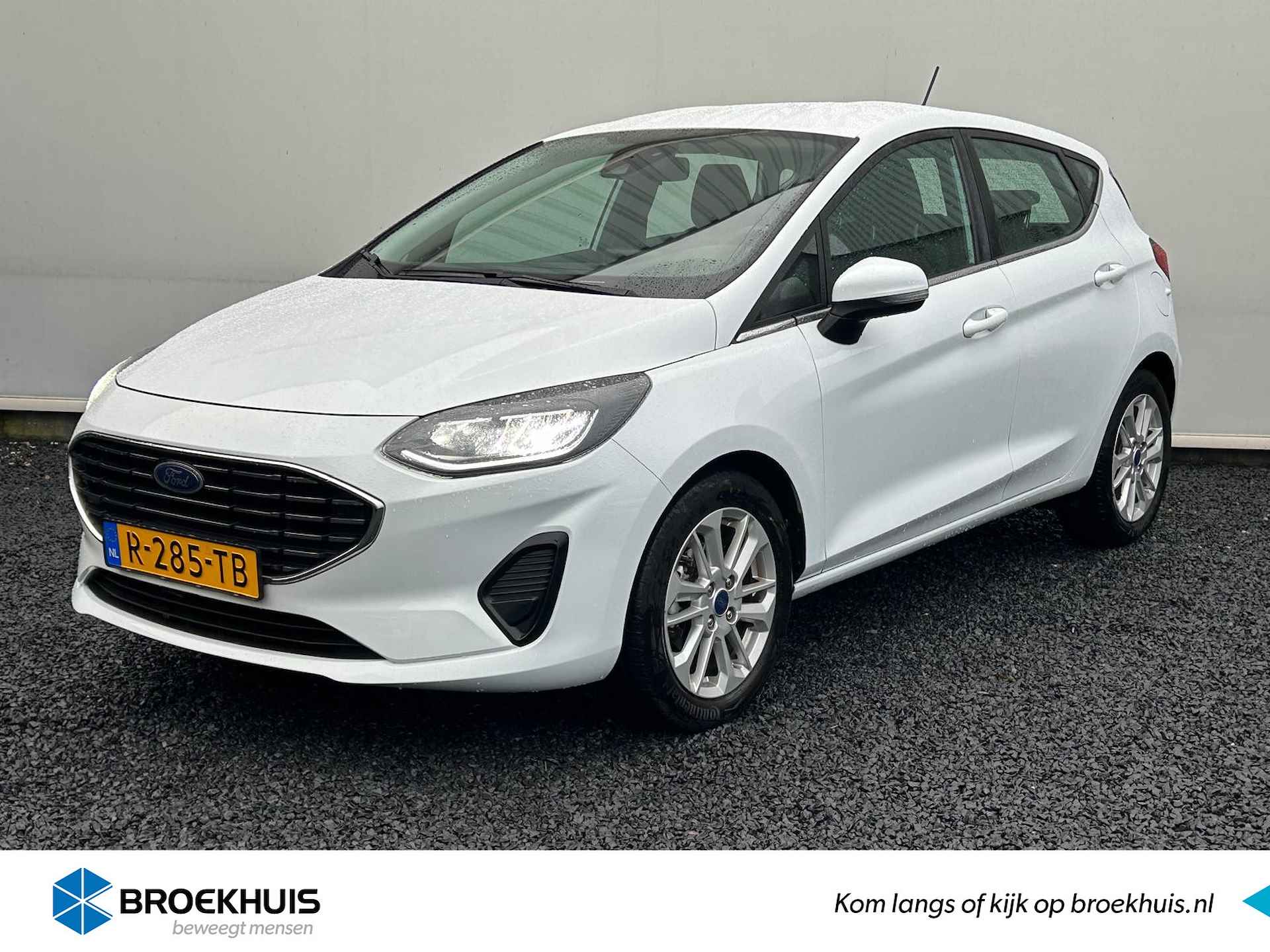 Ford Fiesta BOVAG 40-Puntencheck