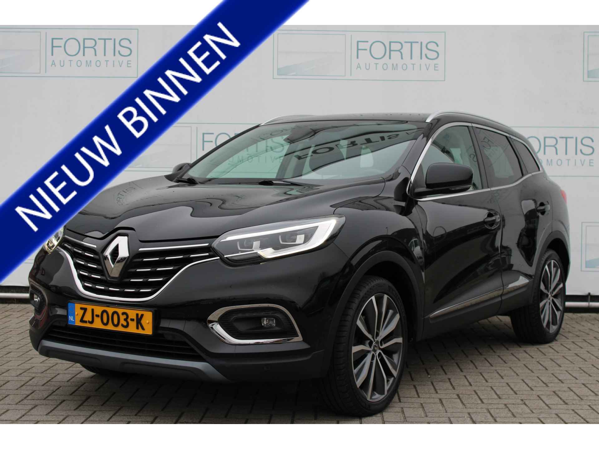 Renault Kadjar BOVAG 40-Puntencheck