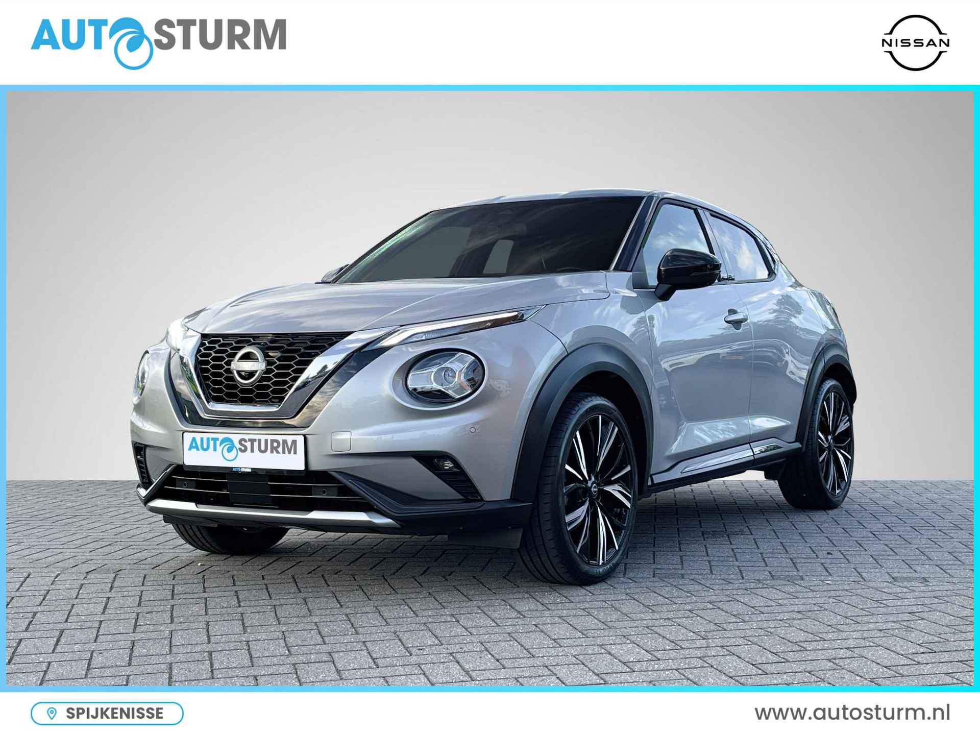 Nissan Juke BOVAG 40-Puntencheck