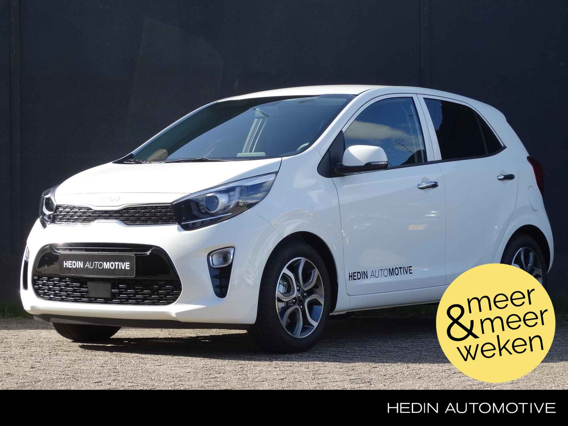 Kia Picanto BOVAG 40-Puntencheck