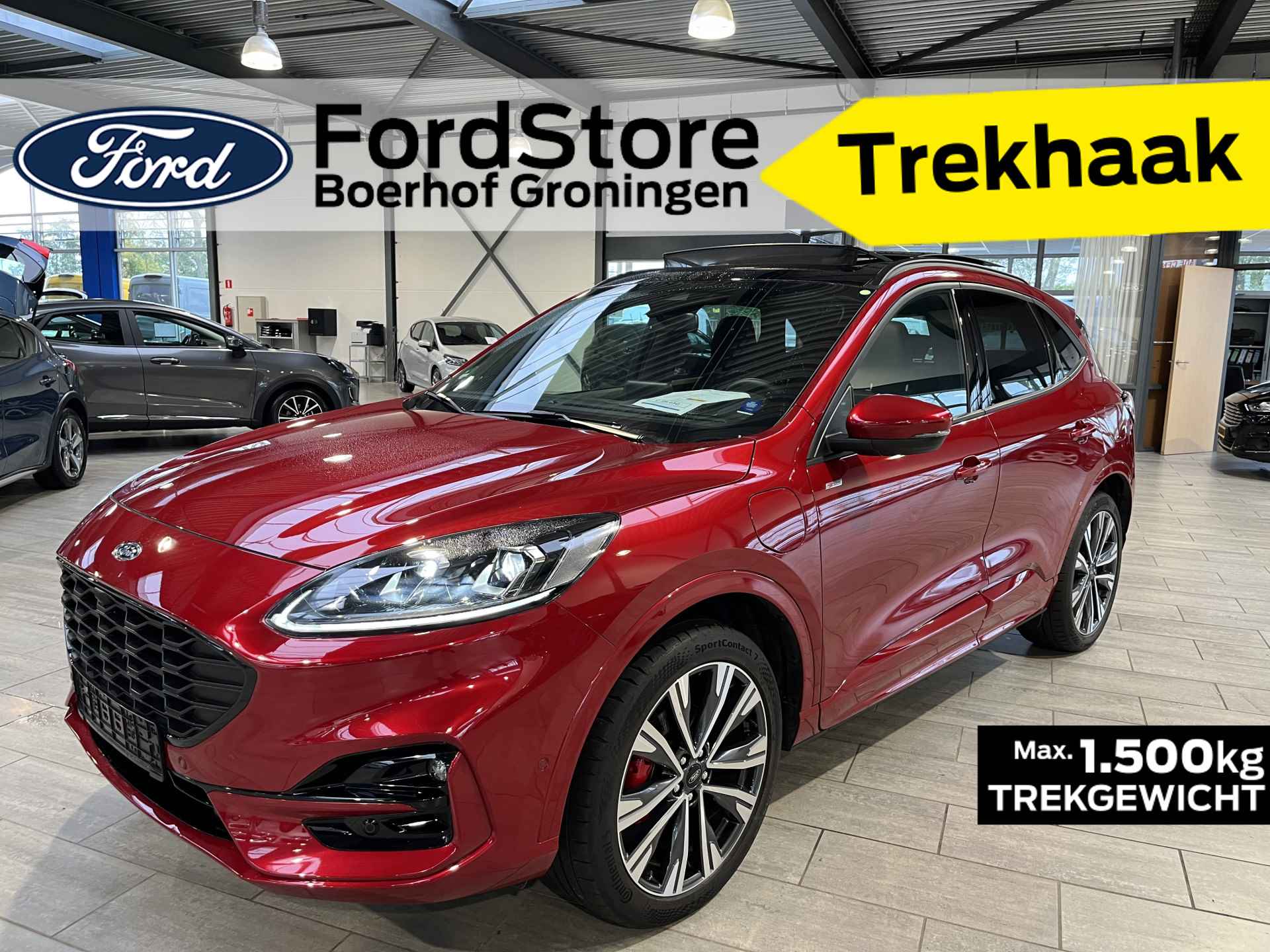 Ford Kuga BOVAG 40-Puntencheck