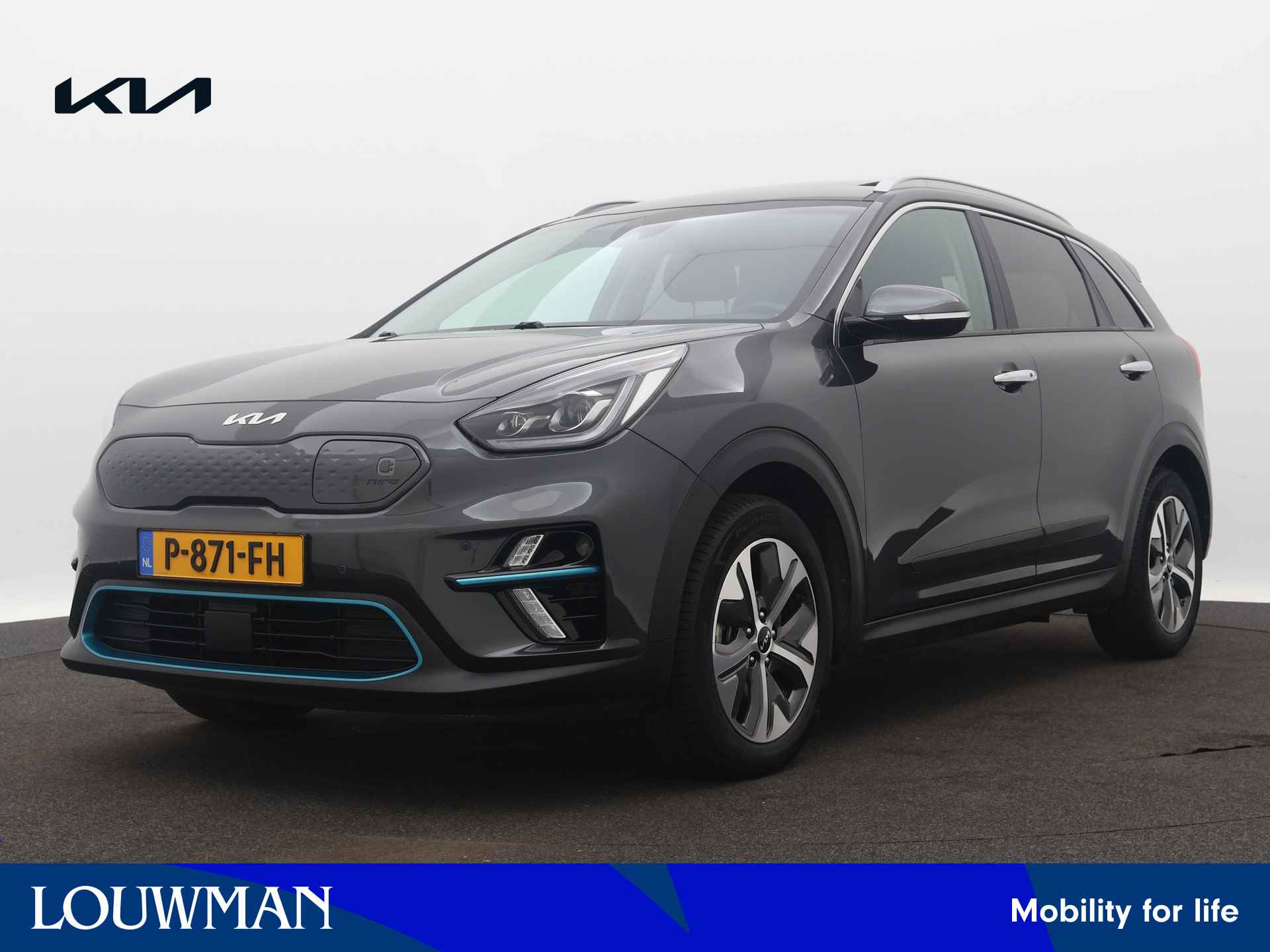 Kia e-Niro BOVAG 40-Puntencheck