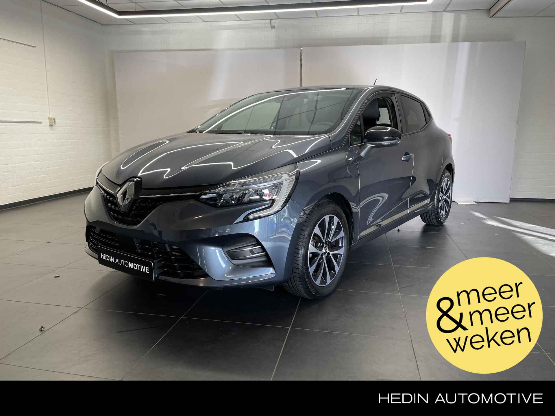 Renault Clio BOVAG 40-Puntencheck