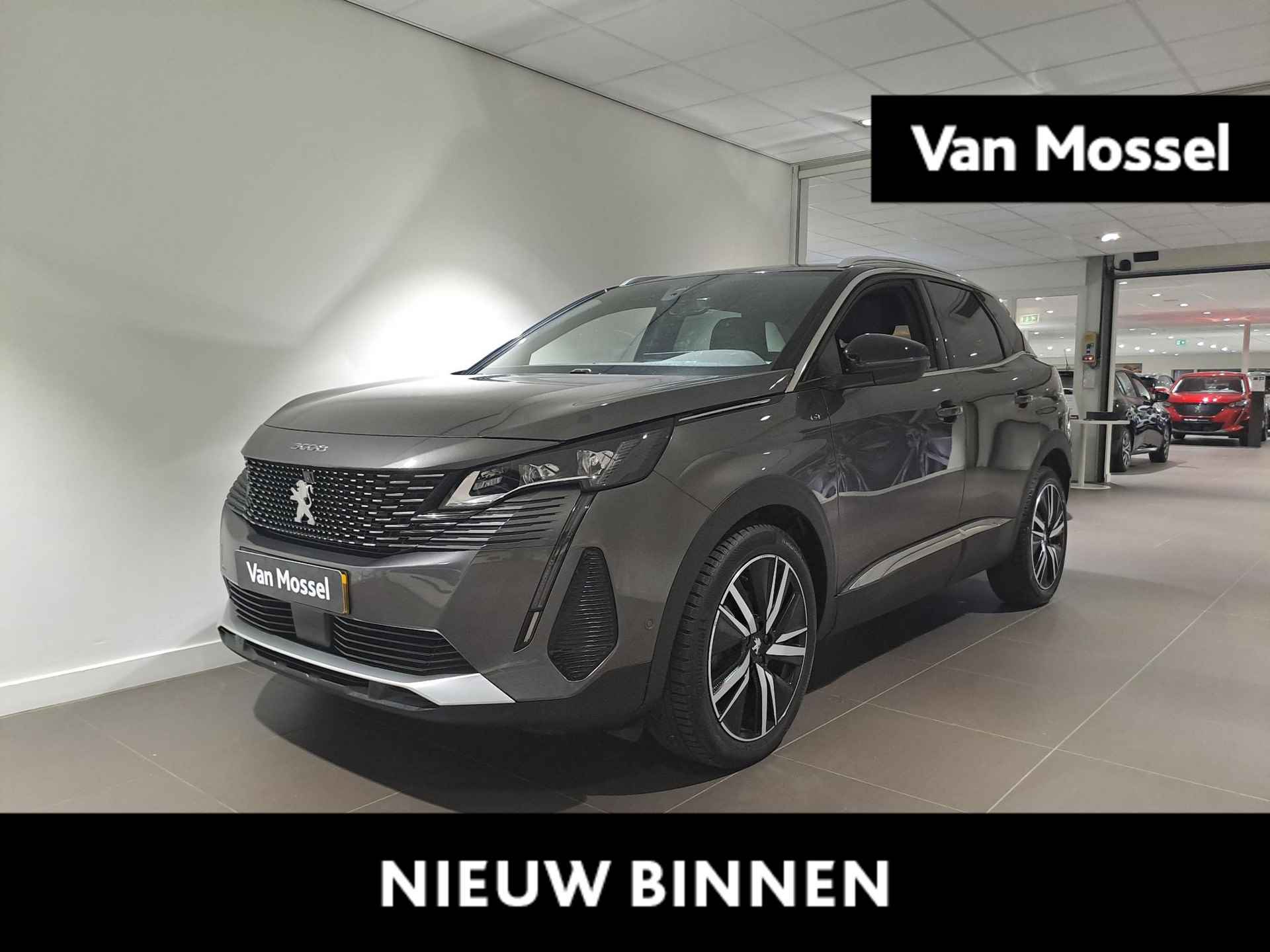 Peugeot 3008 BOVAG 40-Puntencheck