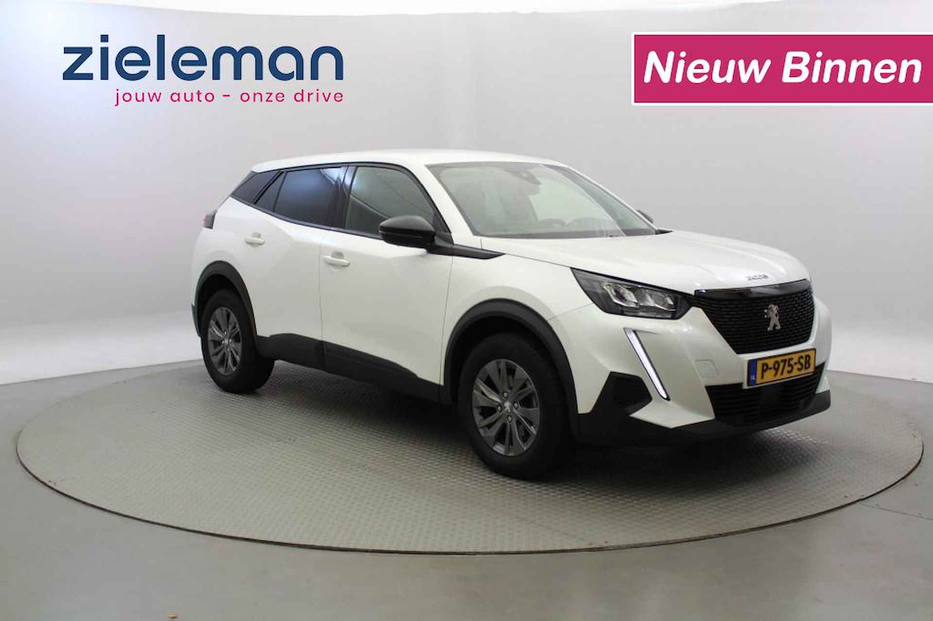 Peugeot 2008 BOVAG 40-Puntencheck