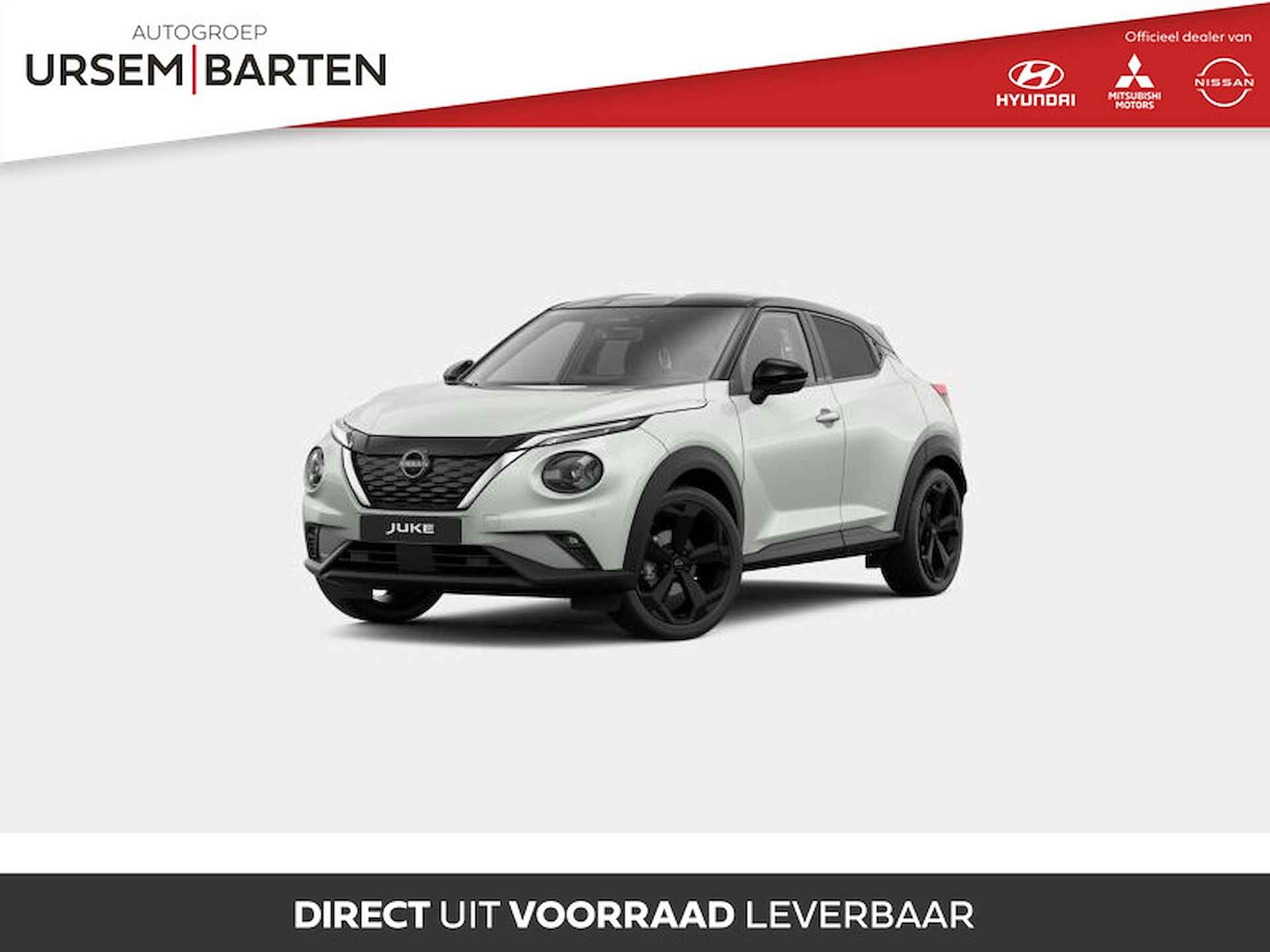 Nissan Juke BOVAG 40-Puntencheck