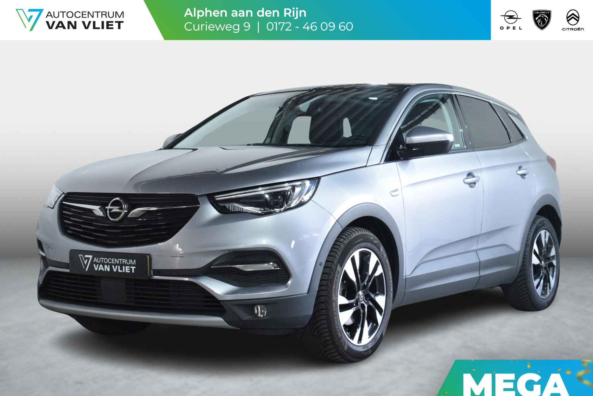 Opel Grandland X BOVAG 40-Puntencheck