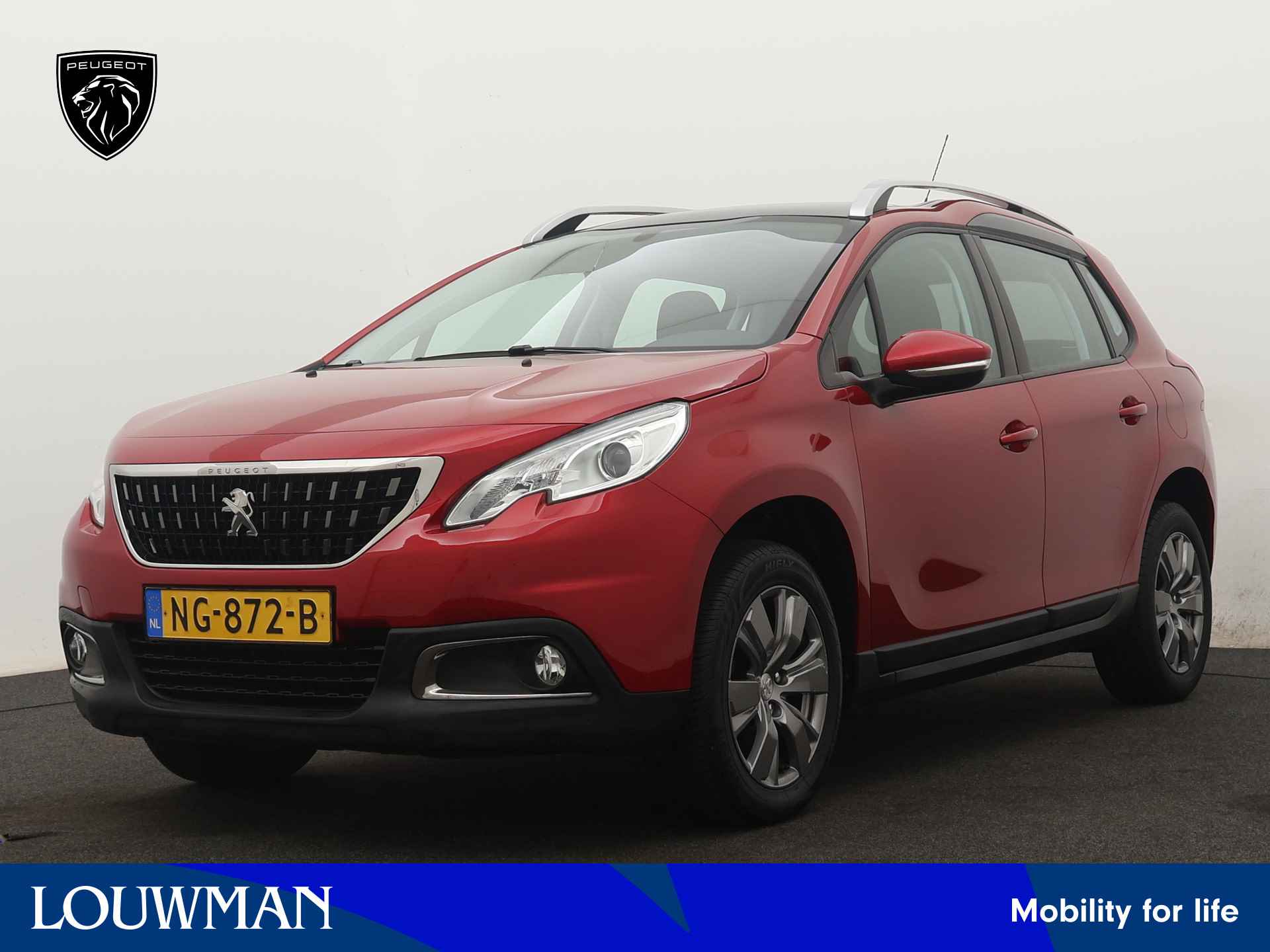 Peugeot 2008 BOVAG 40-Puntencheck