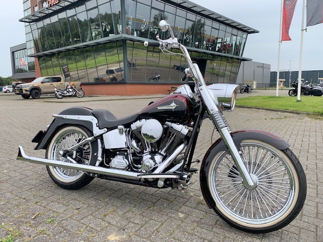 Harley-Davidson FLSTC SOFTAIL MEXICAN SPECIAL