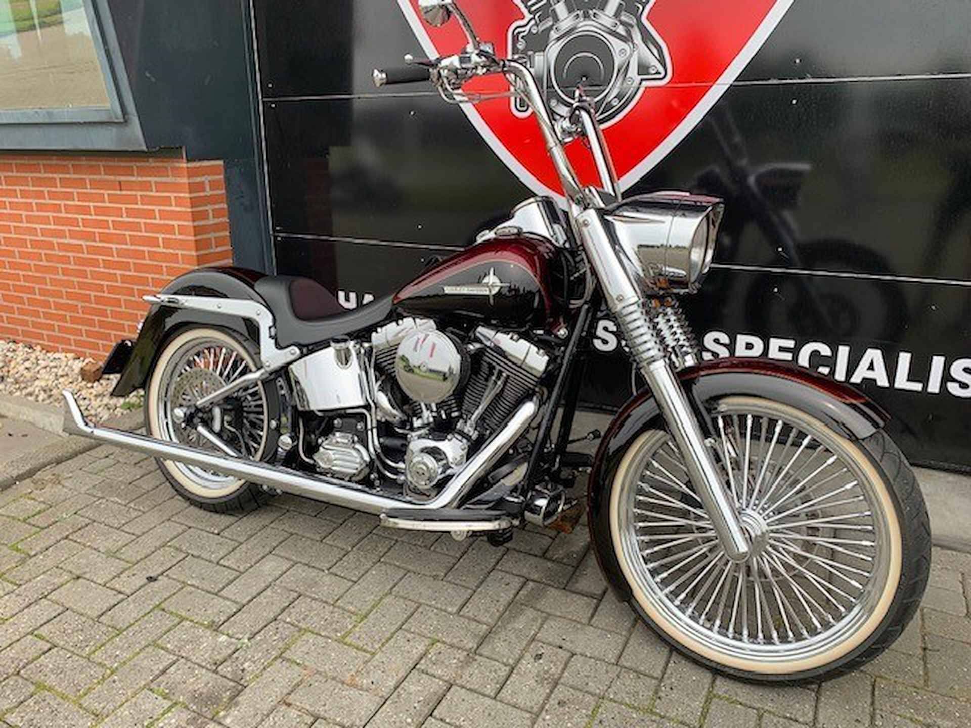 Harley-Davidson FLSTC SOFTAIL MEXICAN SPECIAL - 4/18