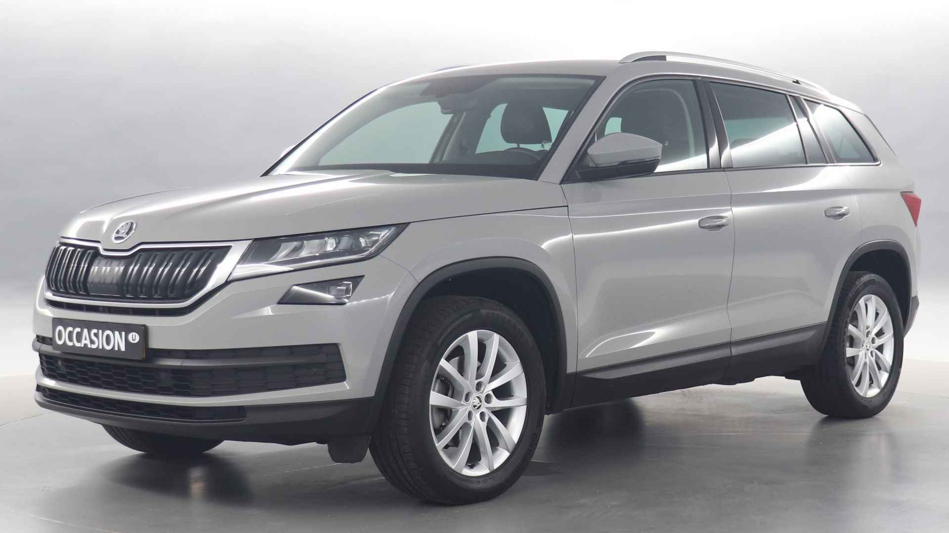 Škoda Kodiaq BOVAG 40-Puntencheck