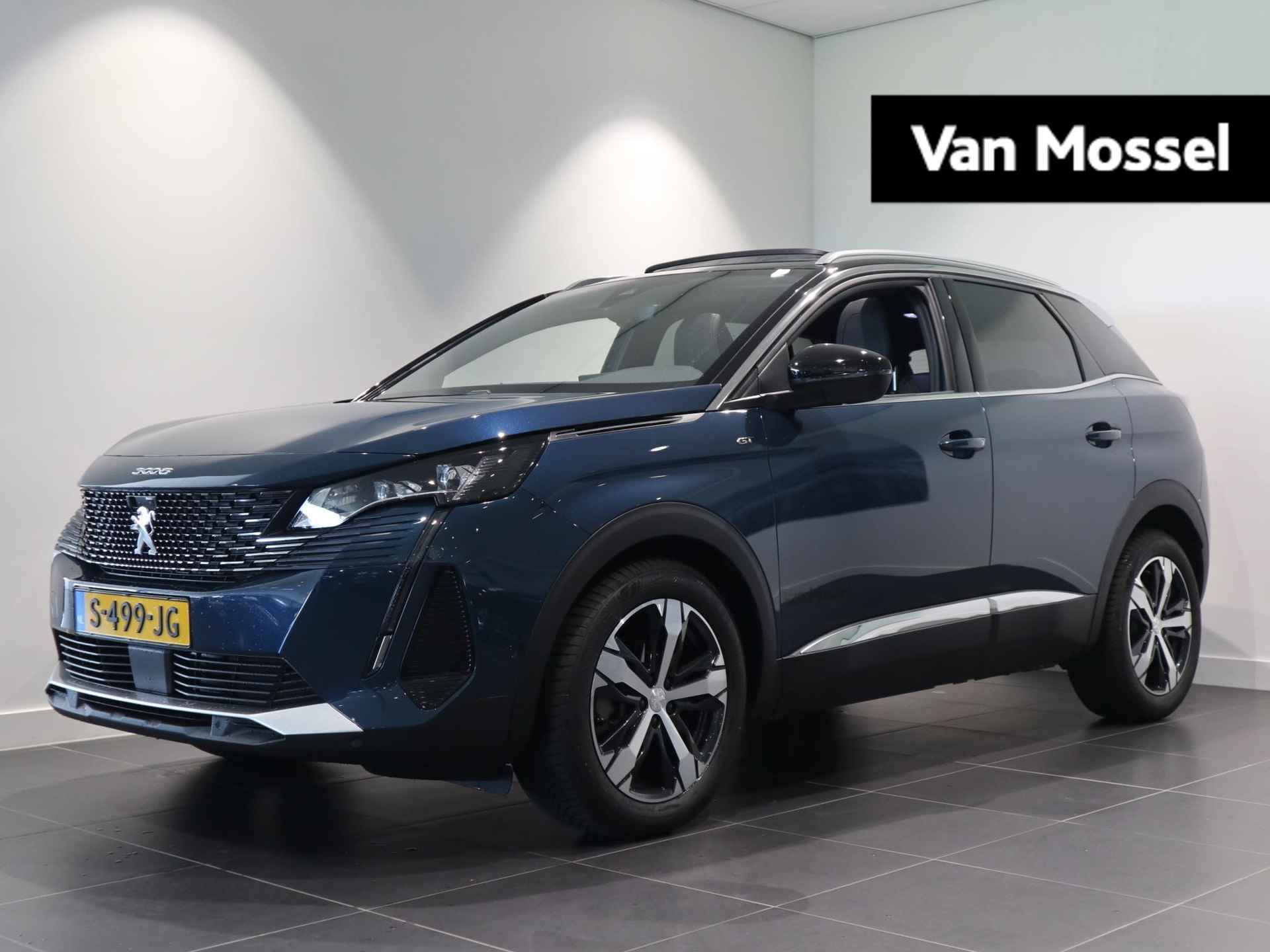 Peugeot 3008 BOVAG 40-Puntencheck