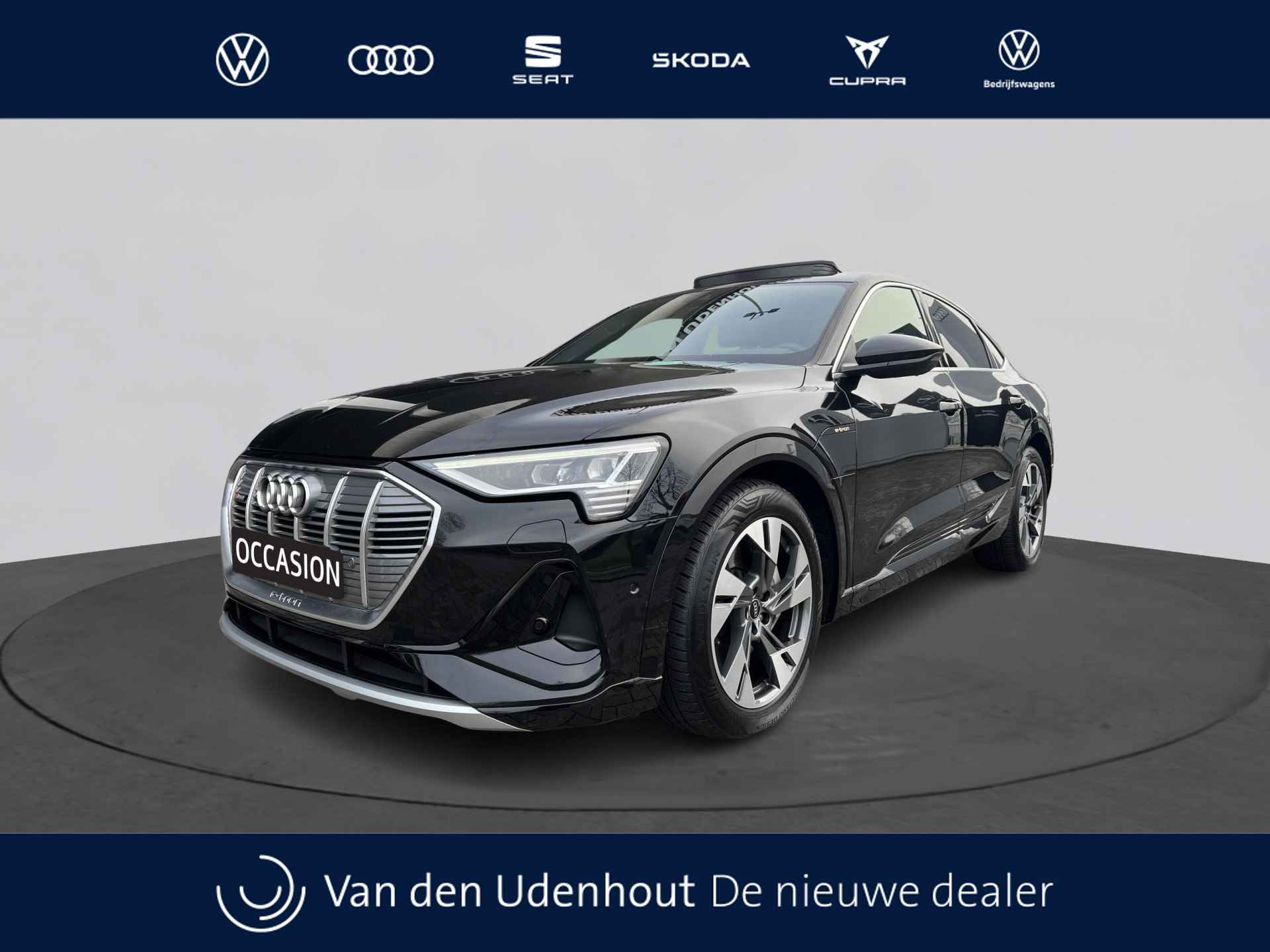 Audi e-tron BOVAG 40-Puntencheck