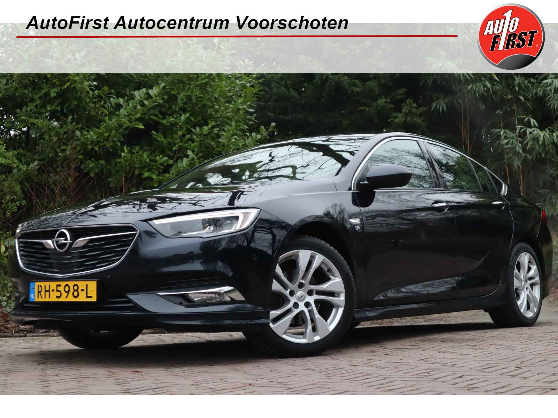 Opel Insignia BOVAG 40-Puntencheck