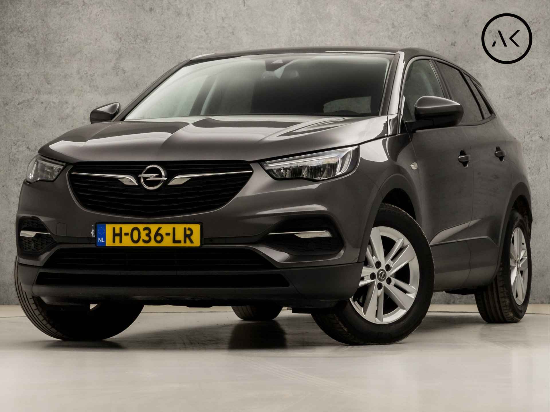 Opel Grandland X BOVAG 40-Puntencheck