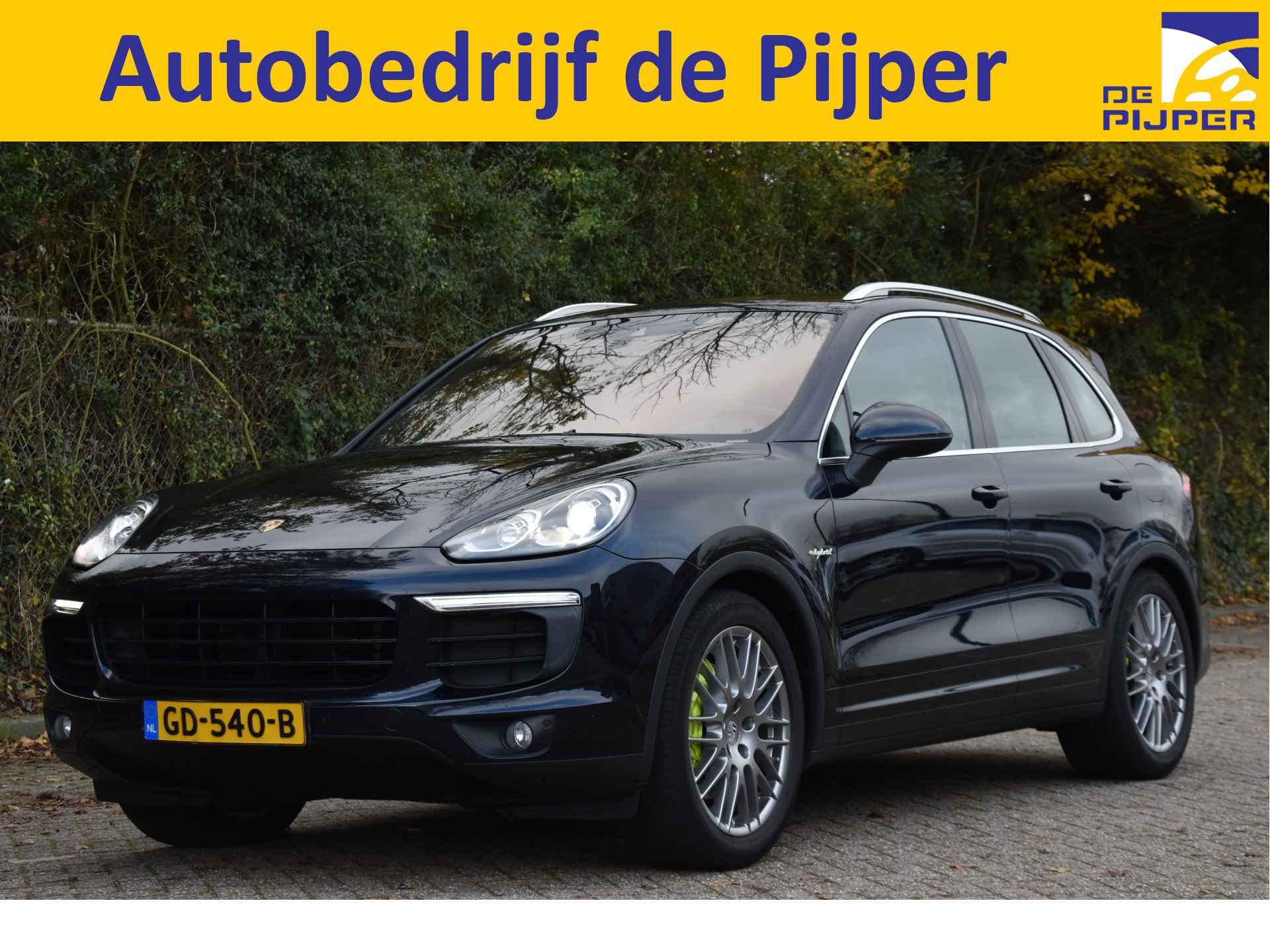 Porsche Cayenne BOVAG 40-Puntencheck