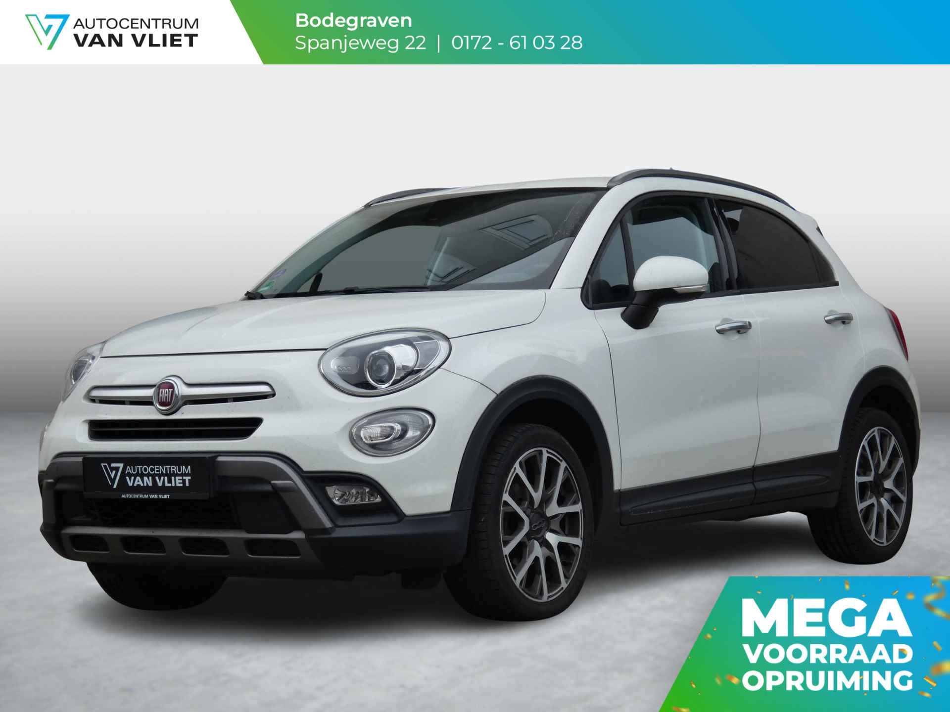 Fiat 500X BOVAG 40-Puntencheck