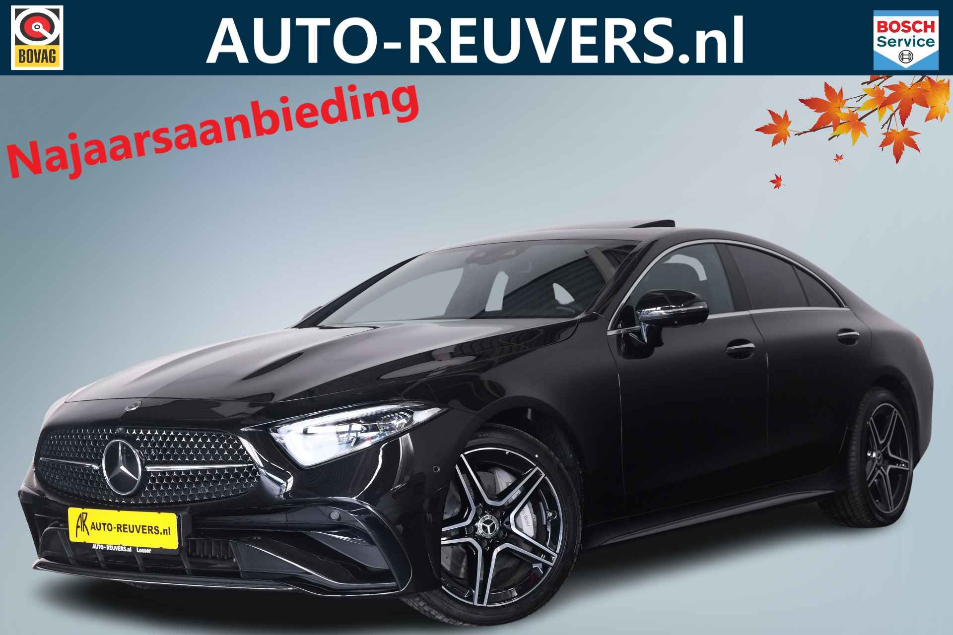 Mercedes-Benz CLS BOVAG 40-Puntencheck