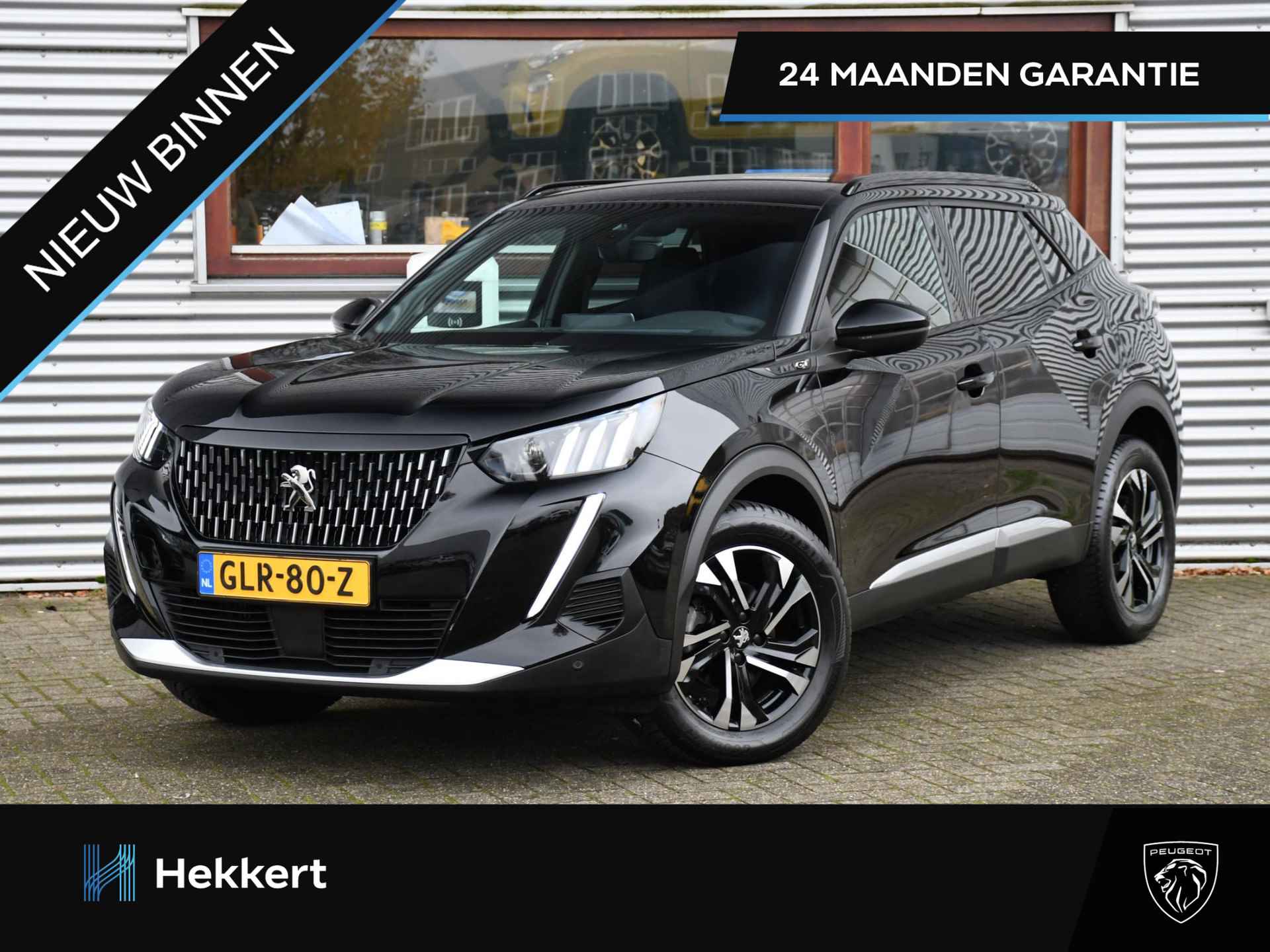 Peugeot 2008 BOVAG 40-Puntencheck