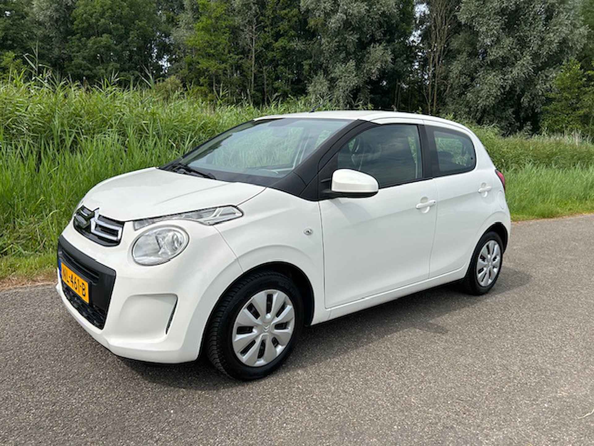 Citroën C1 BOVAG 40-Puntencheck