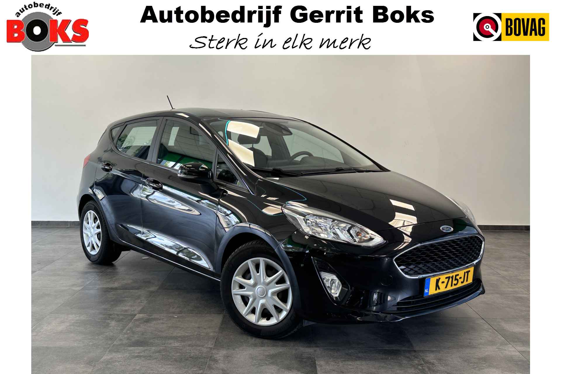 Ford Fiesta BOVAG 40-Puntencheck