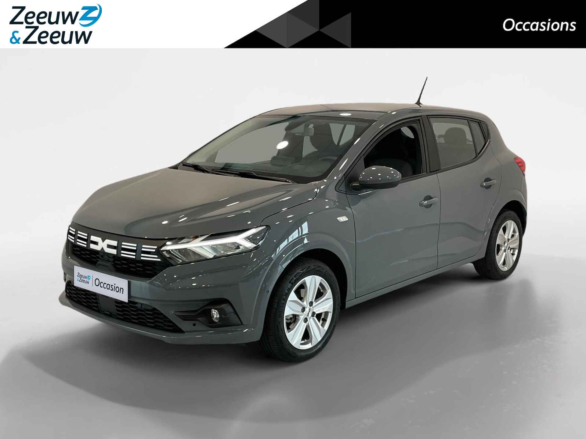 Dacia Sandero BOVAG 40-Puntencheck