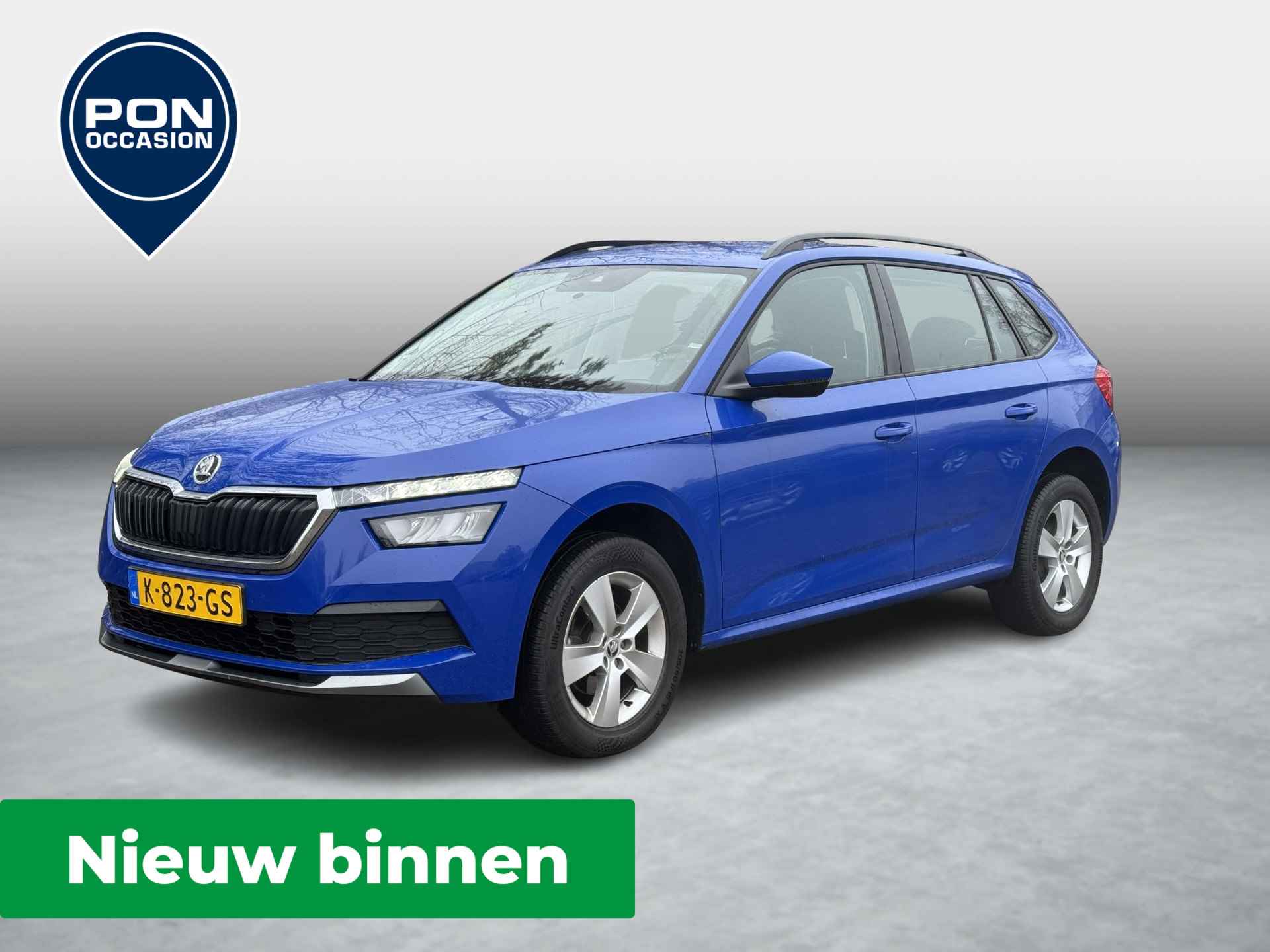 Škoda Kamiq BOVAG 40-Puntencheck