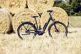 Advanced Ebike Das Original TOUR Plus Wave 50 / 545 Wh / Belt Lage instap Coal Grey Matt 50cm 2025