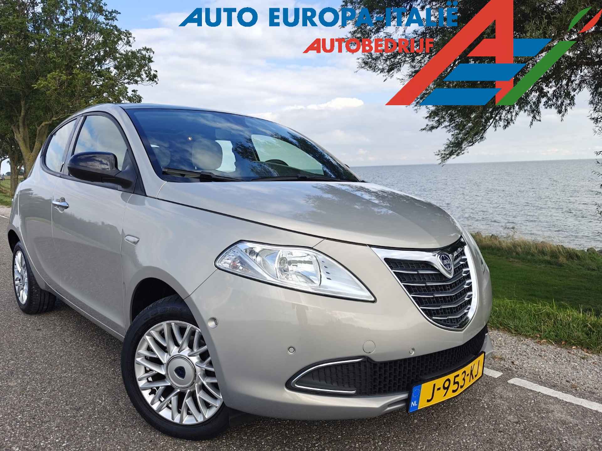 Lancia Ypsilon BOVAG 40-Puntencheck