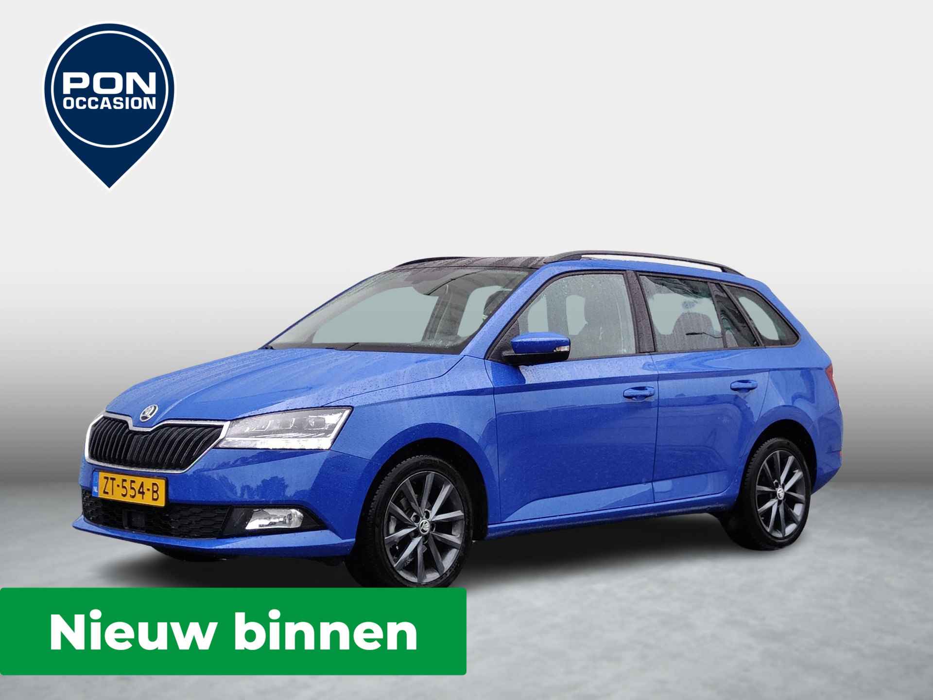 Škoda Fabia BOVAG 40-Puntencheck