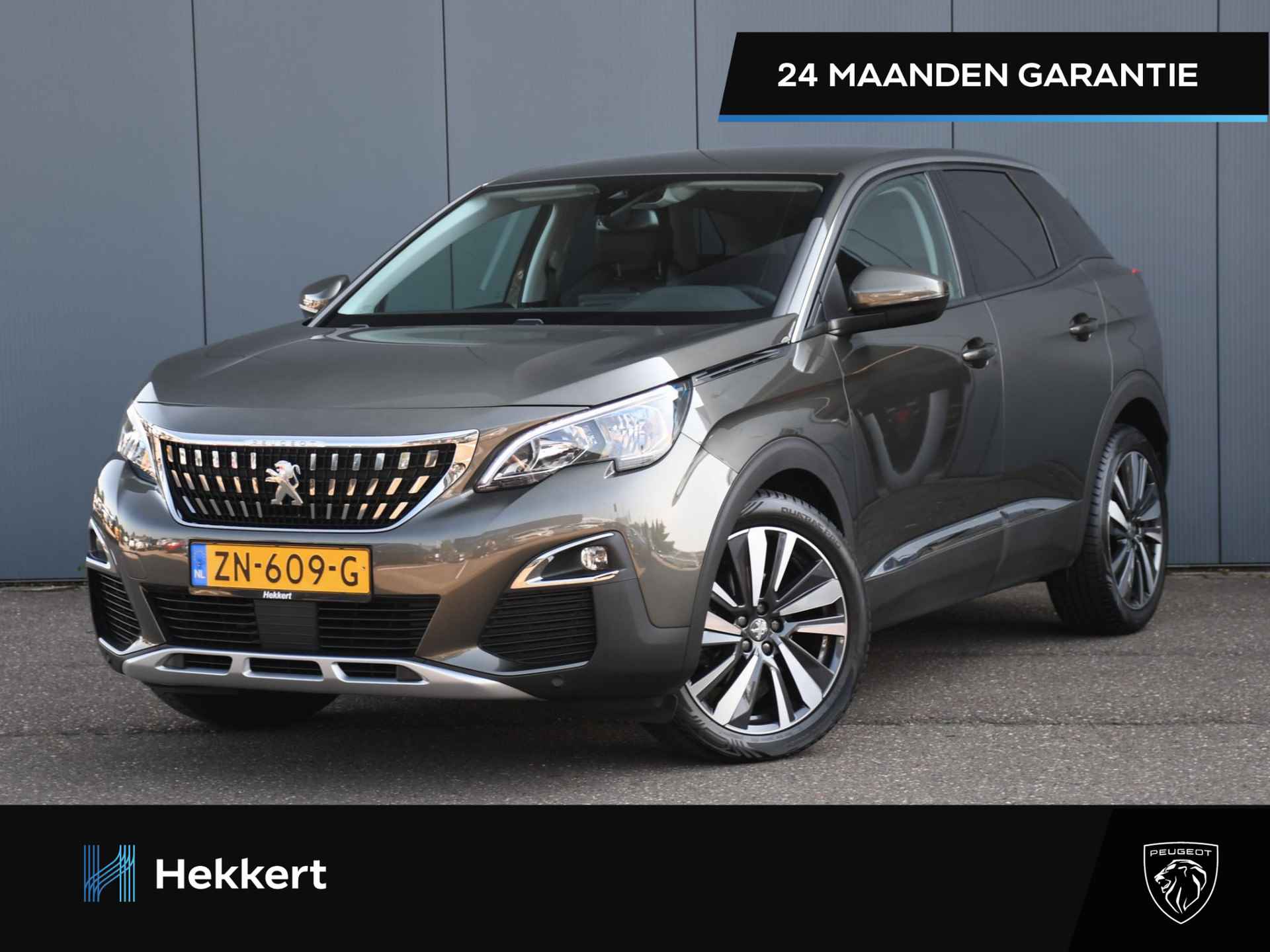 Peugeot 3008 BOVAG 40-Puntencheck