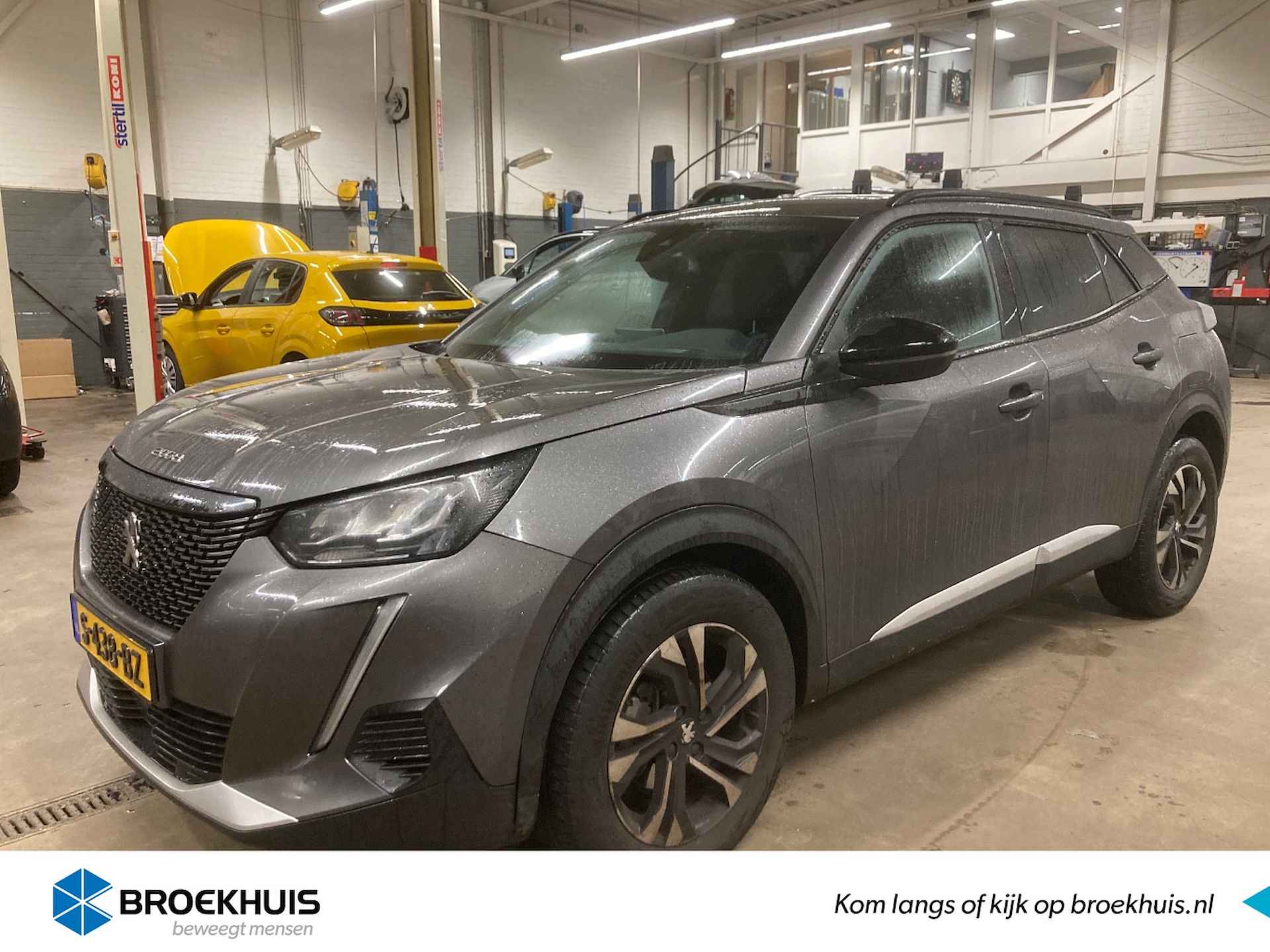 Peugeot 2008 BOVAG 40-Puntencheck