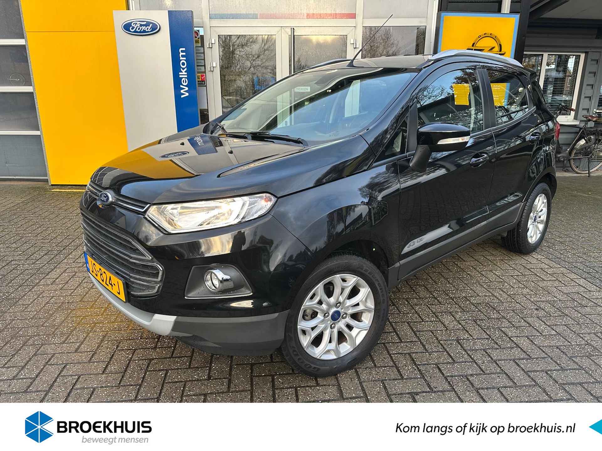 Ford EcoSport BOVAG 40-Puntencheck