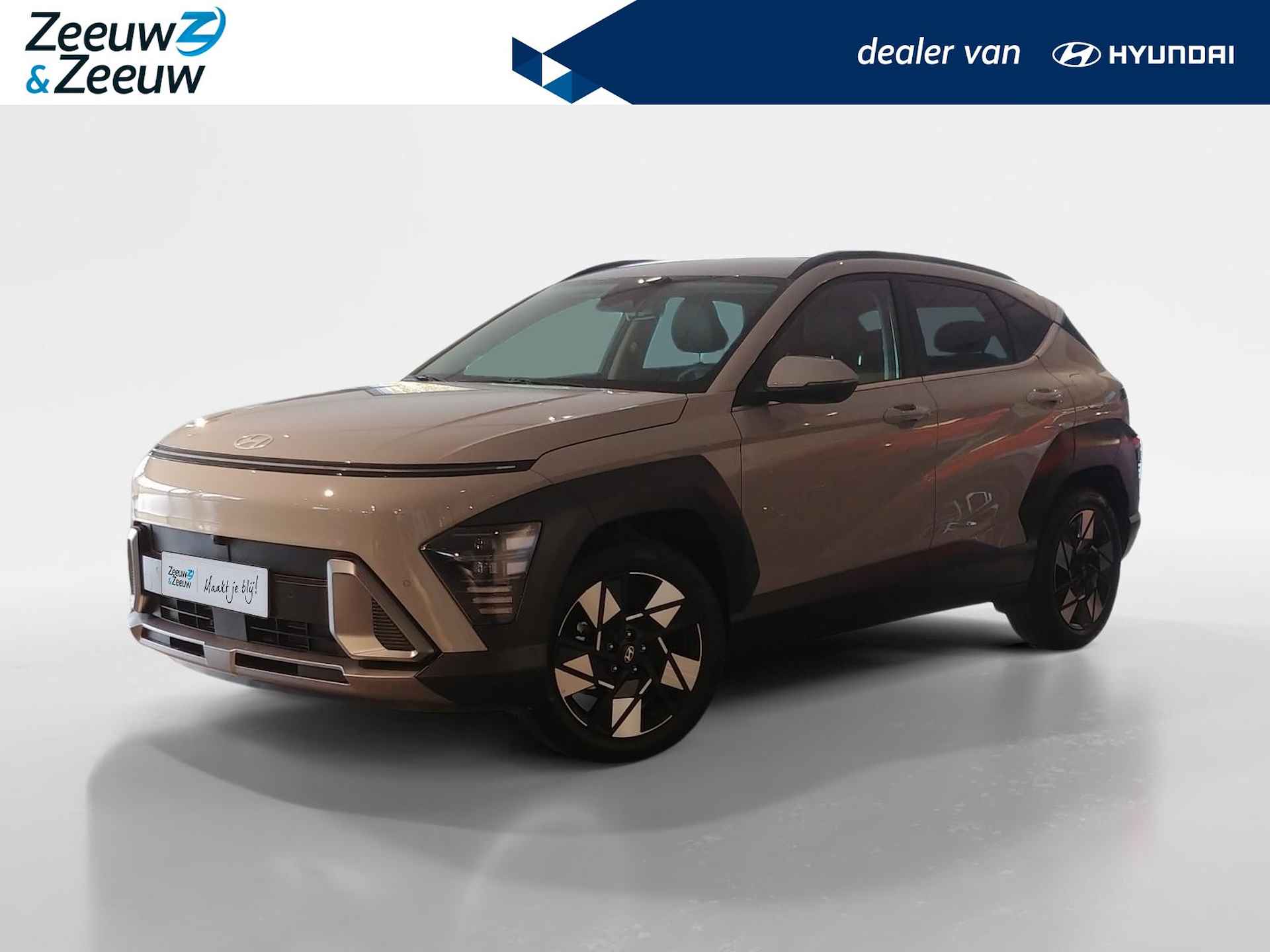 Hyundai Kona BOVAG 40-Puntencheck