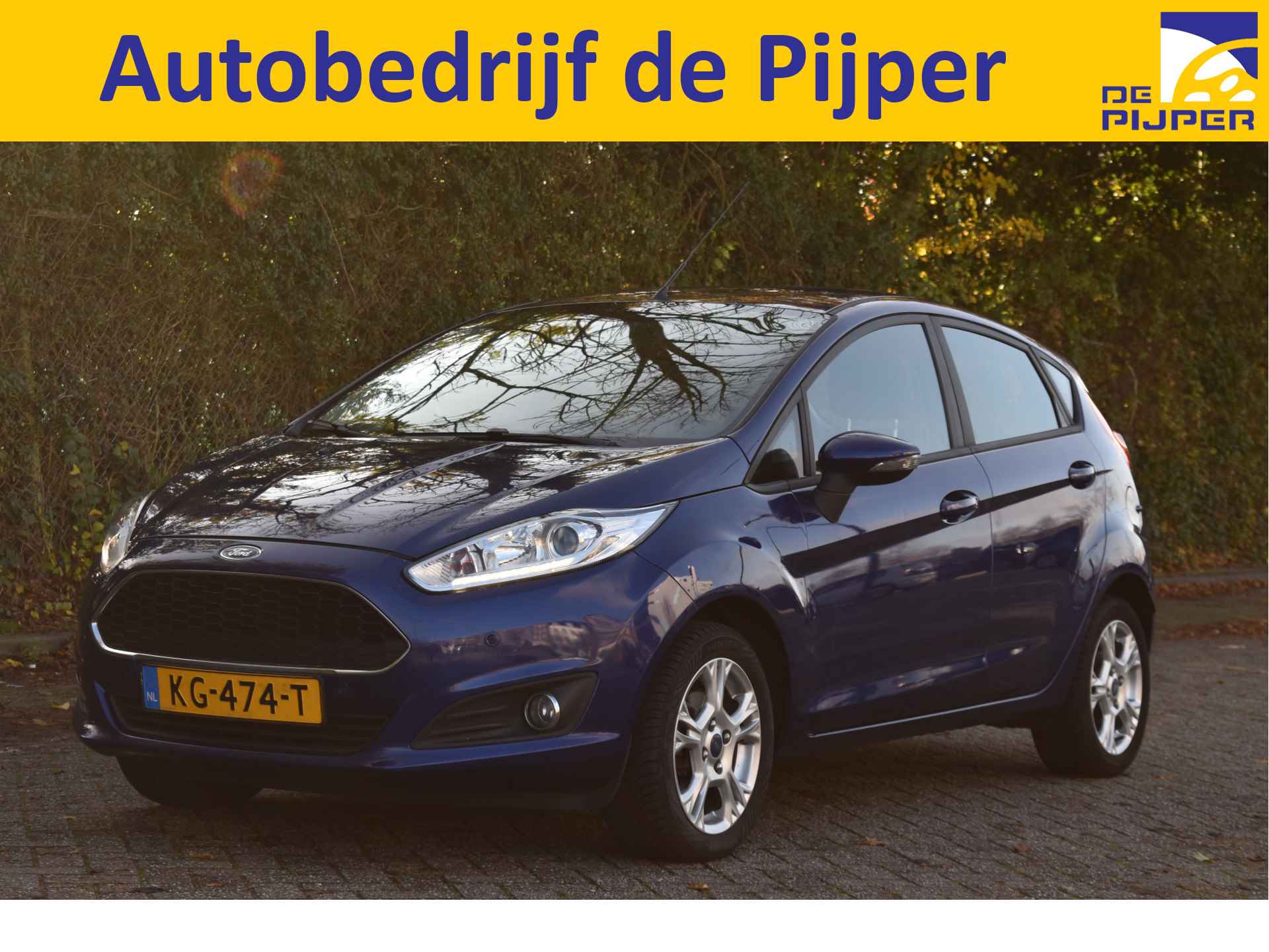 Ford Fiesta BOVAG 40-Puntencheck