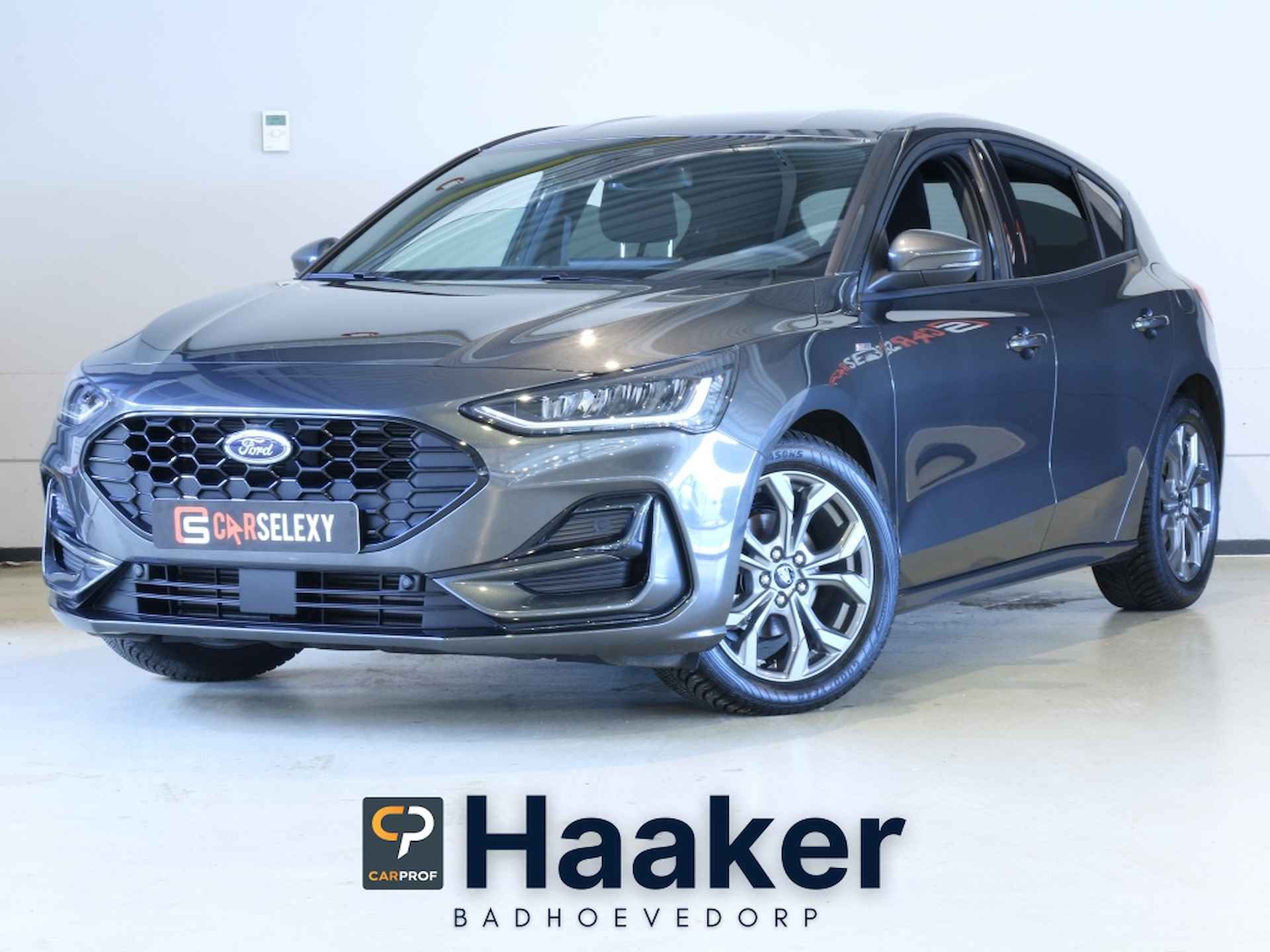 Ford Focus BOVAG 40-Puntencheck