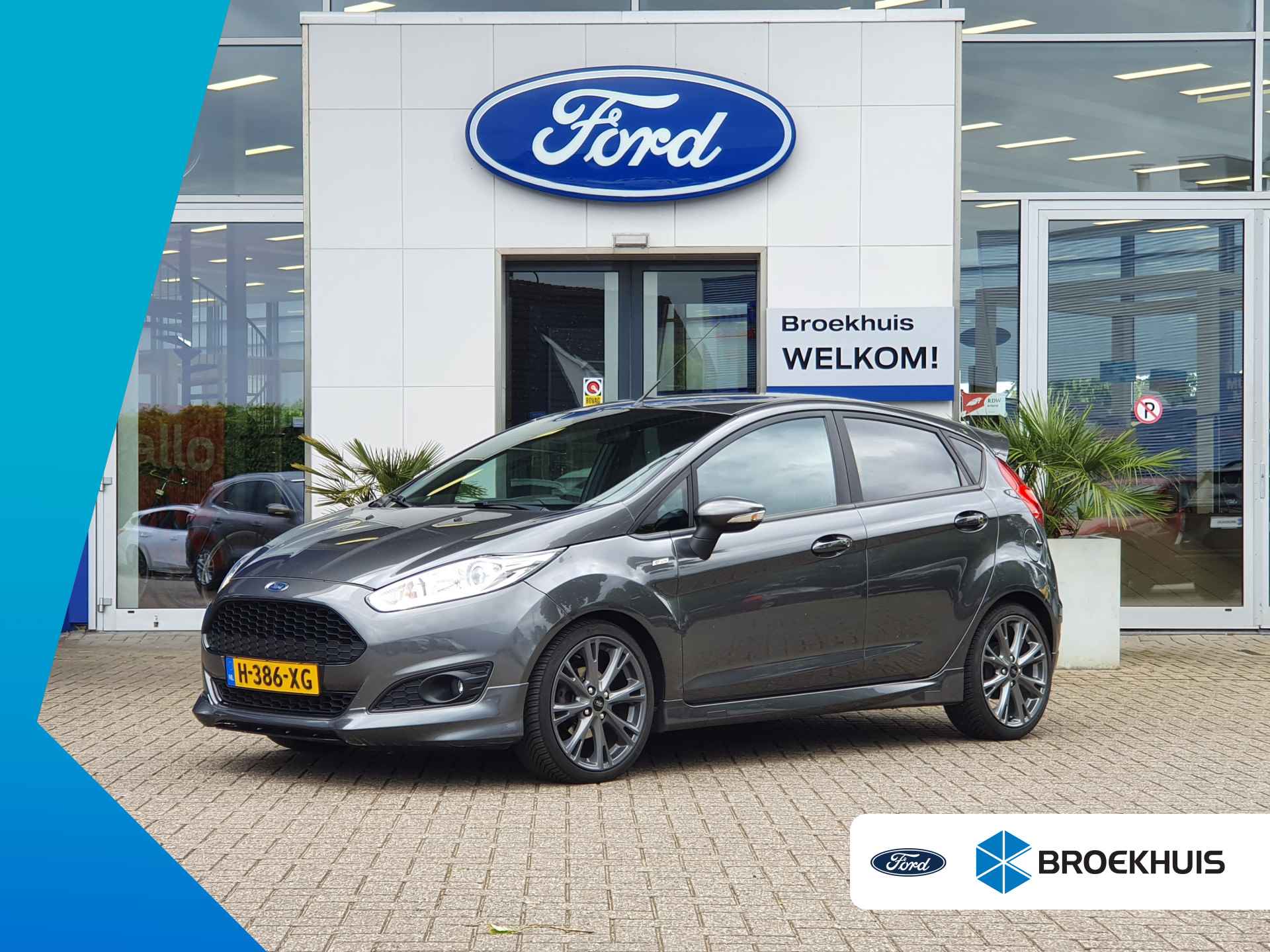 Ford Fiesta BOVAG 40-Puntencheck