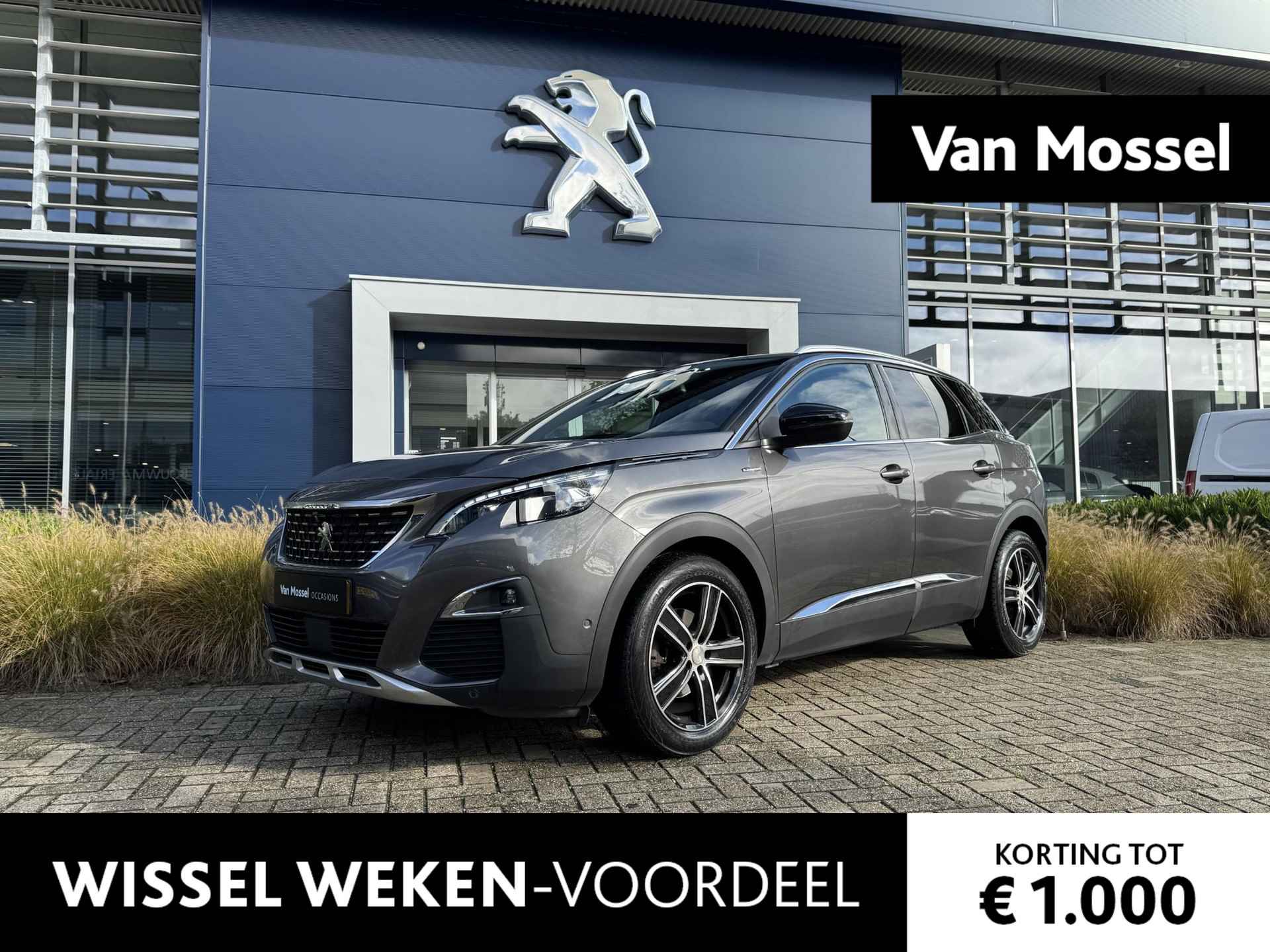 Peugeot 3008 BOVAG 40-Puntencheck