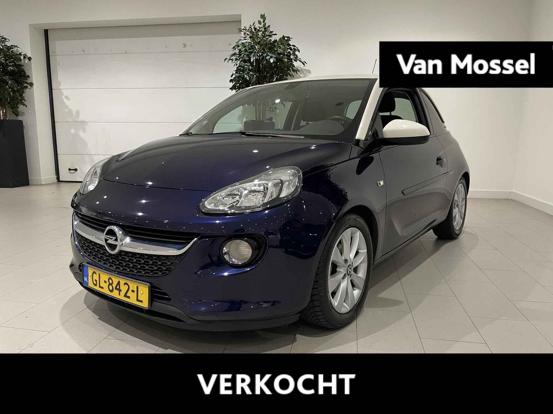 Opel Adam BOVAG 40-Puntencheck