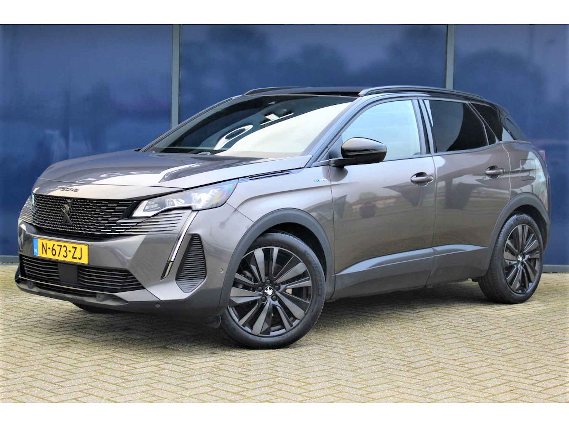 Peugeot 3008 BOVAG 40-Puntencheck